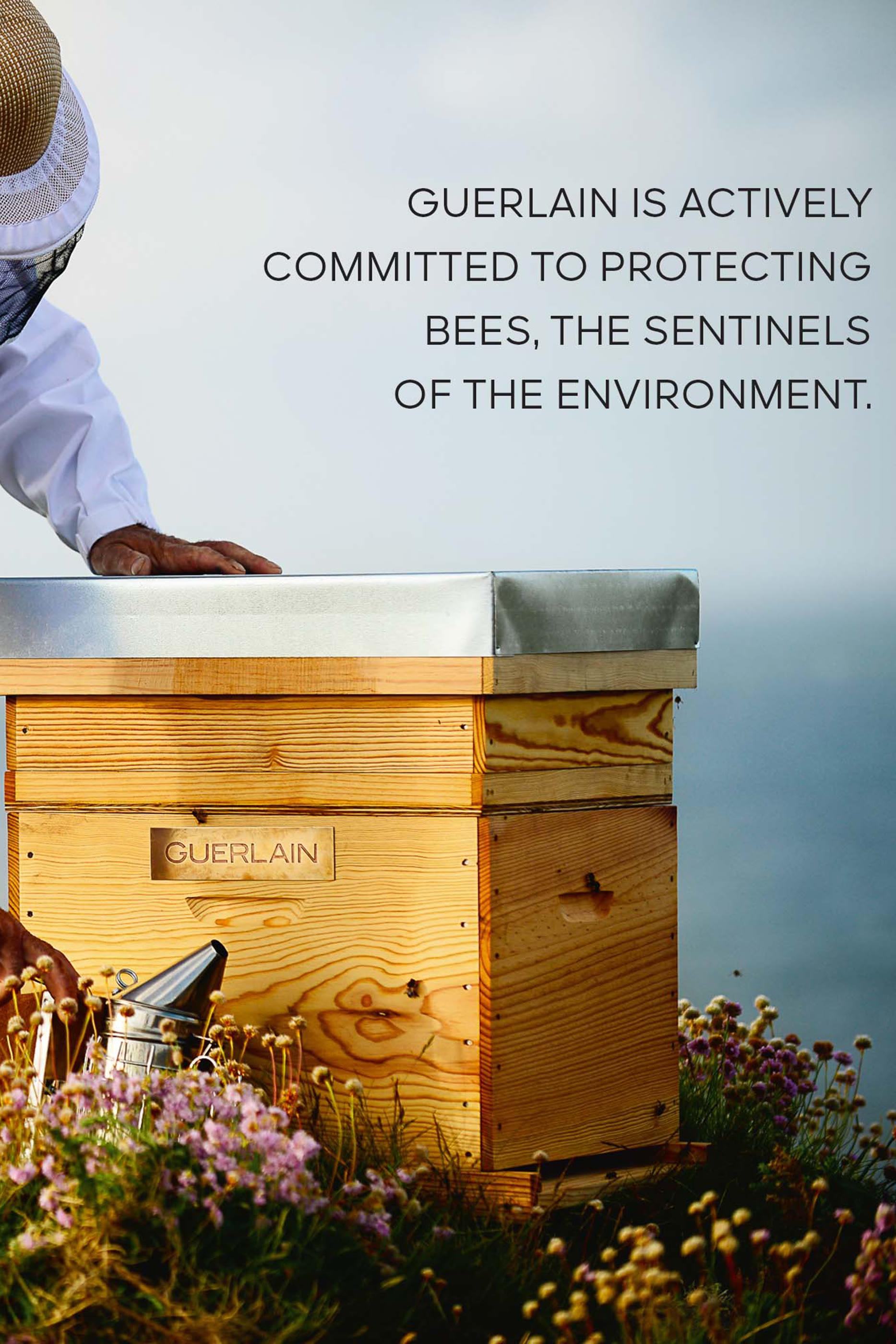 كريم نهاري أباي رويال للتخلص من اللمعان للبشرة العادية والمختلطة