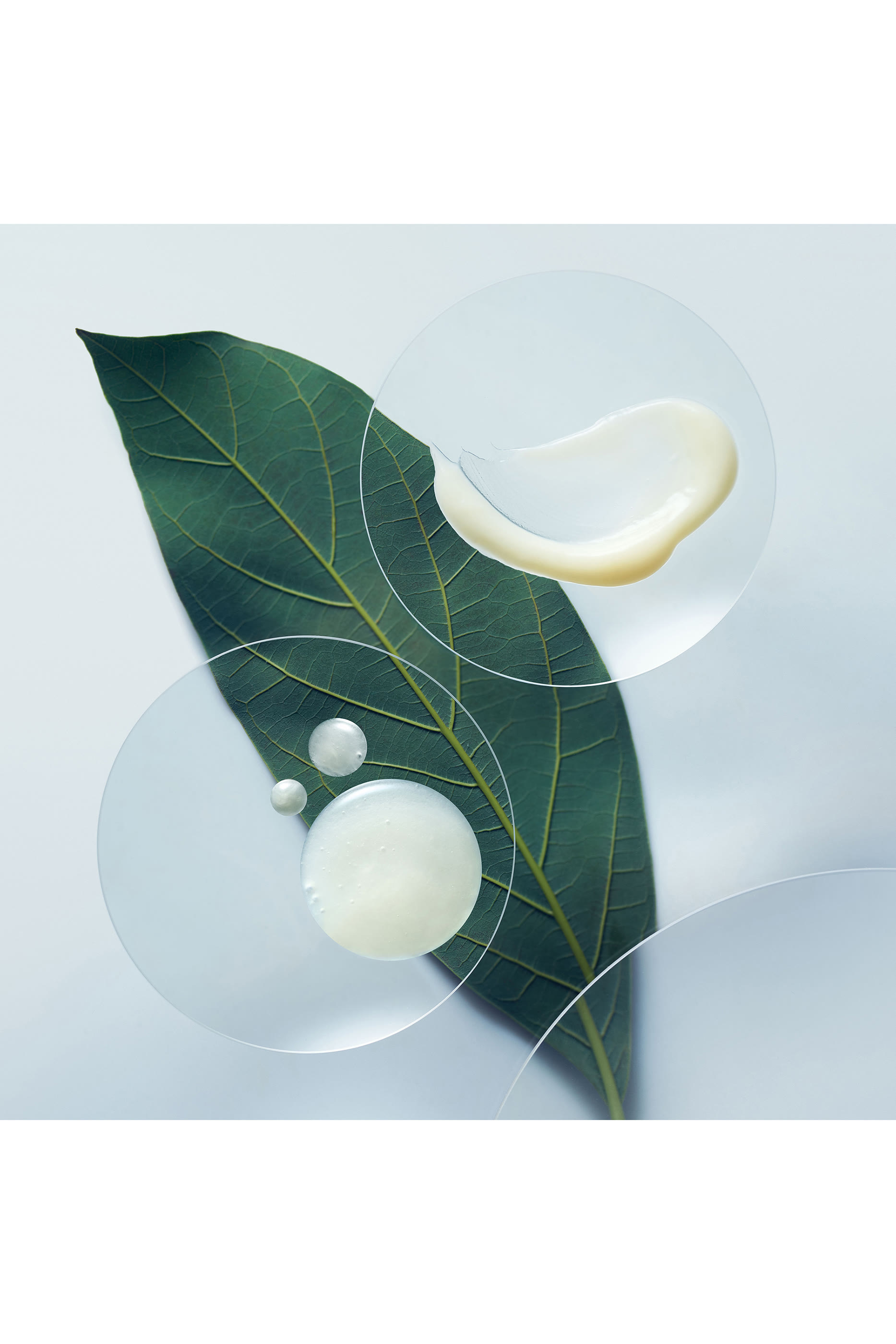 بلسم بوتانيكال ريبير لتقوية الشعر