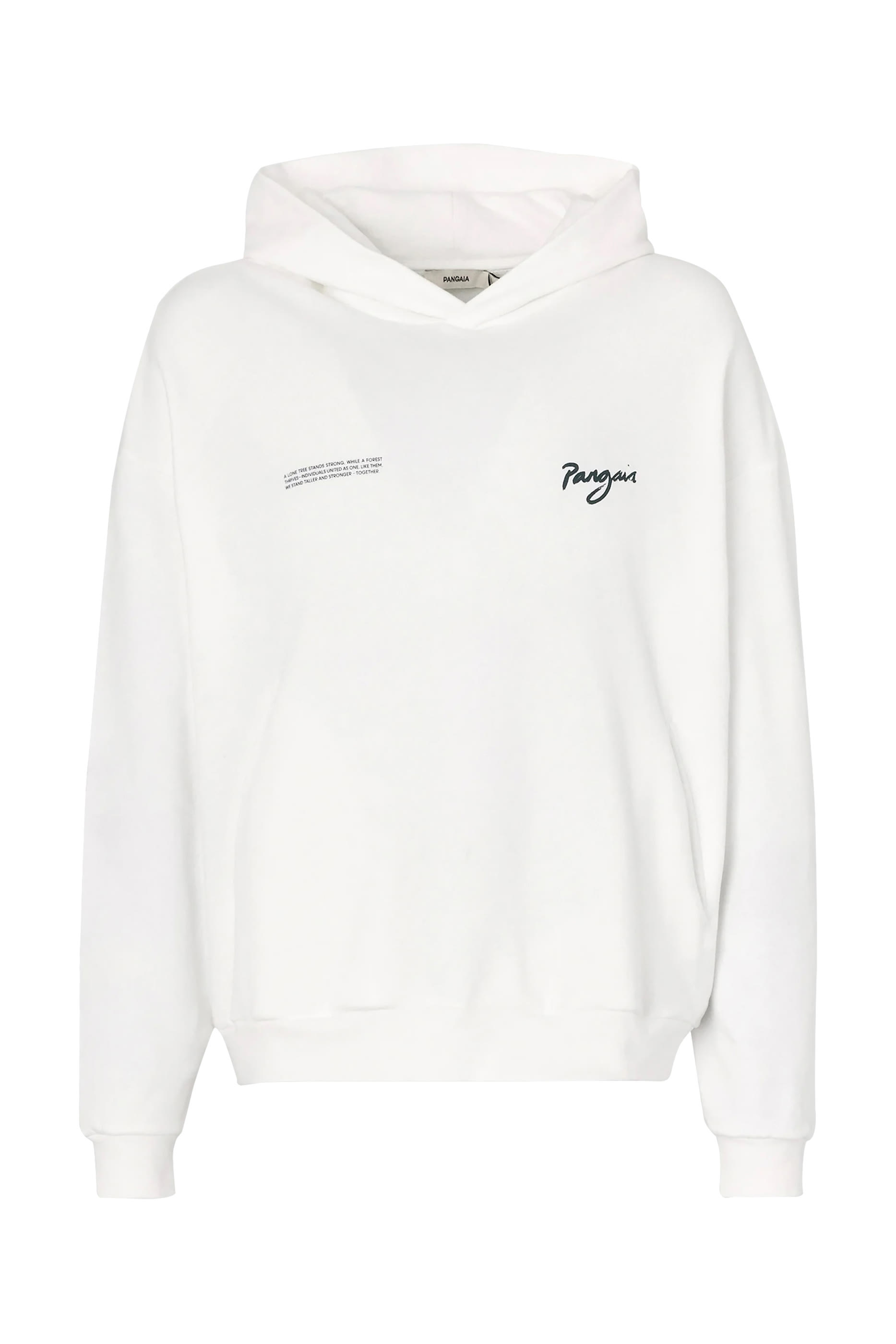 هودي وان فوريست غرافيك