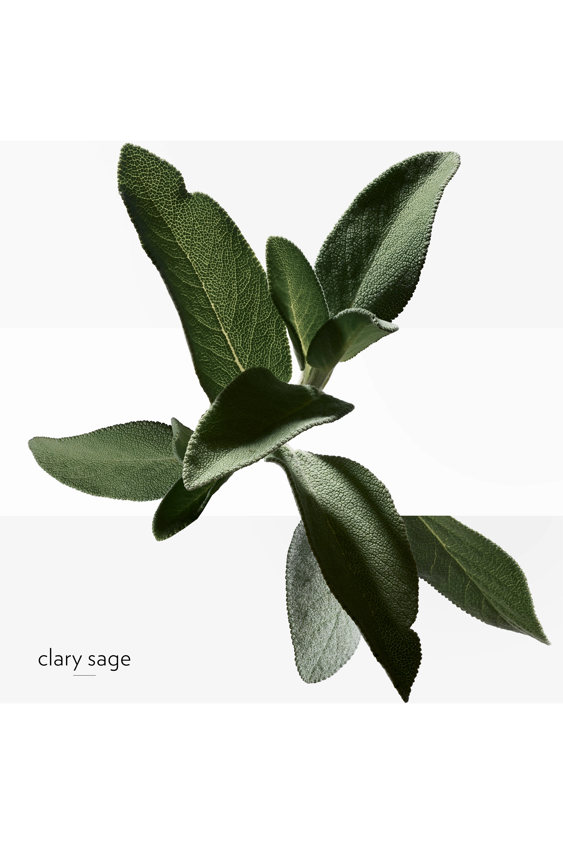 بخاخ H24 منعش ومزيل لرائحة العرق