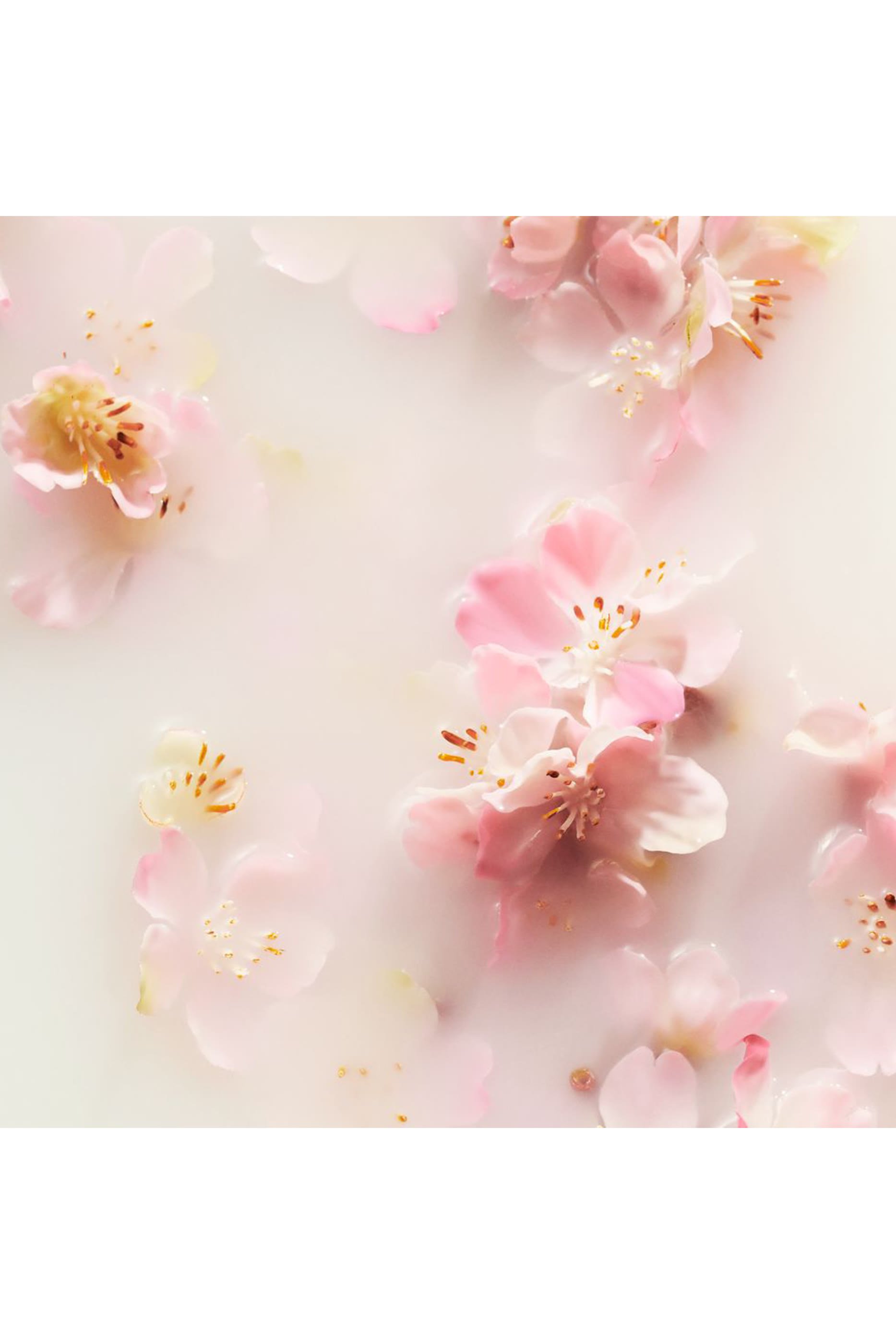 لوشن الجسم موس ذا ريتوال اوف ساكورا