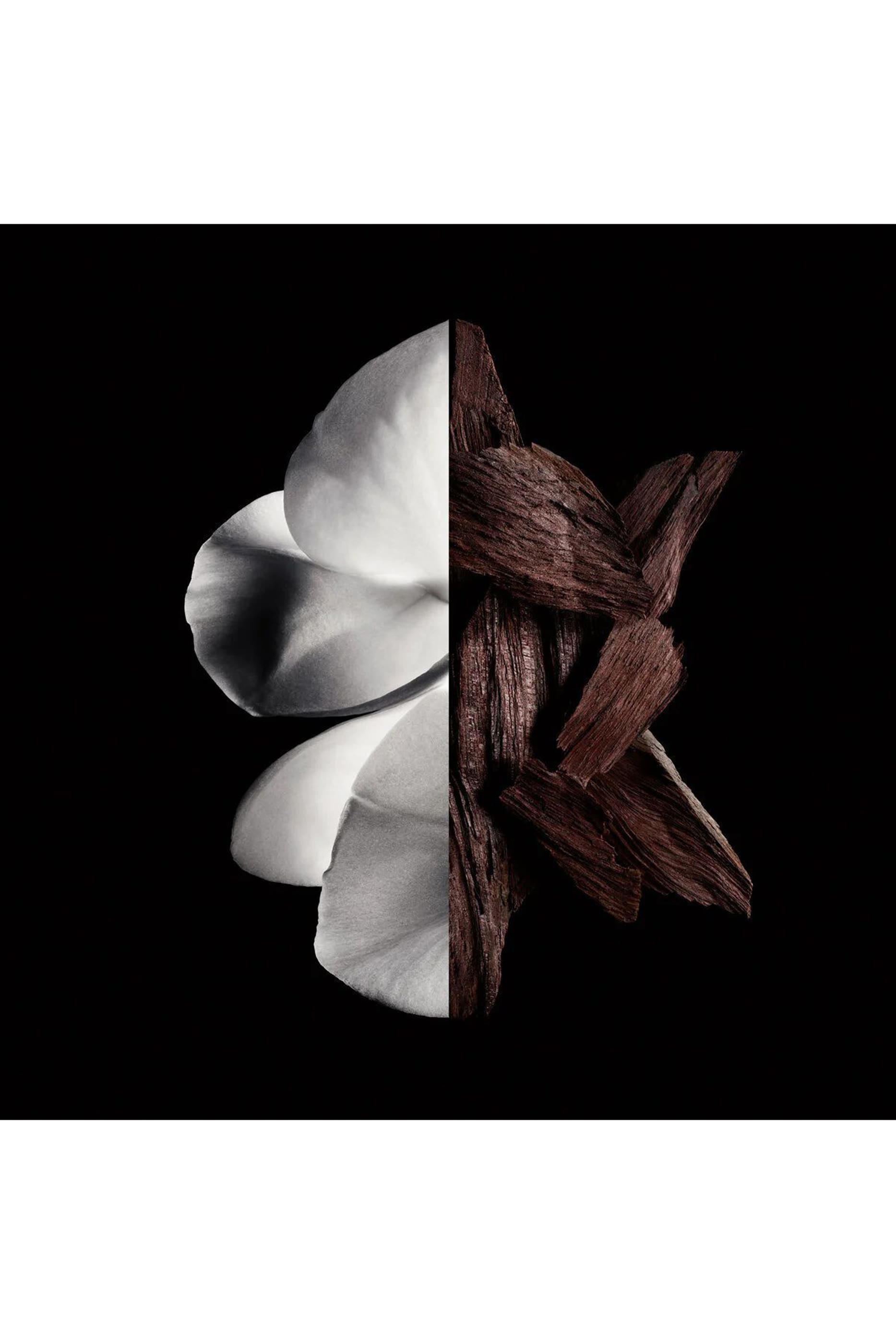 أو دو بارفان جينتلمان بوازيه 