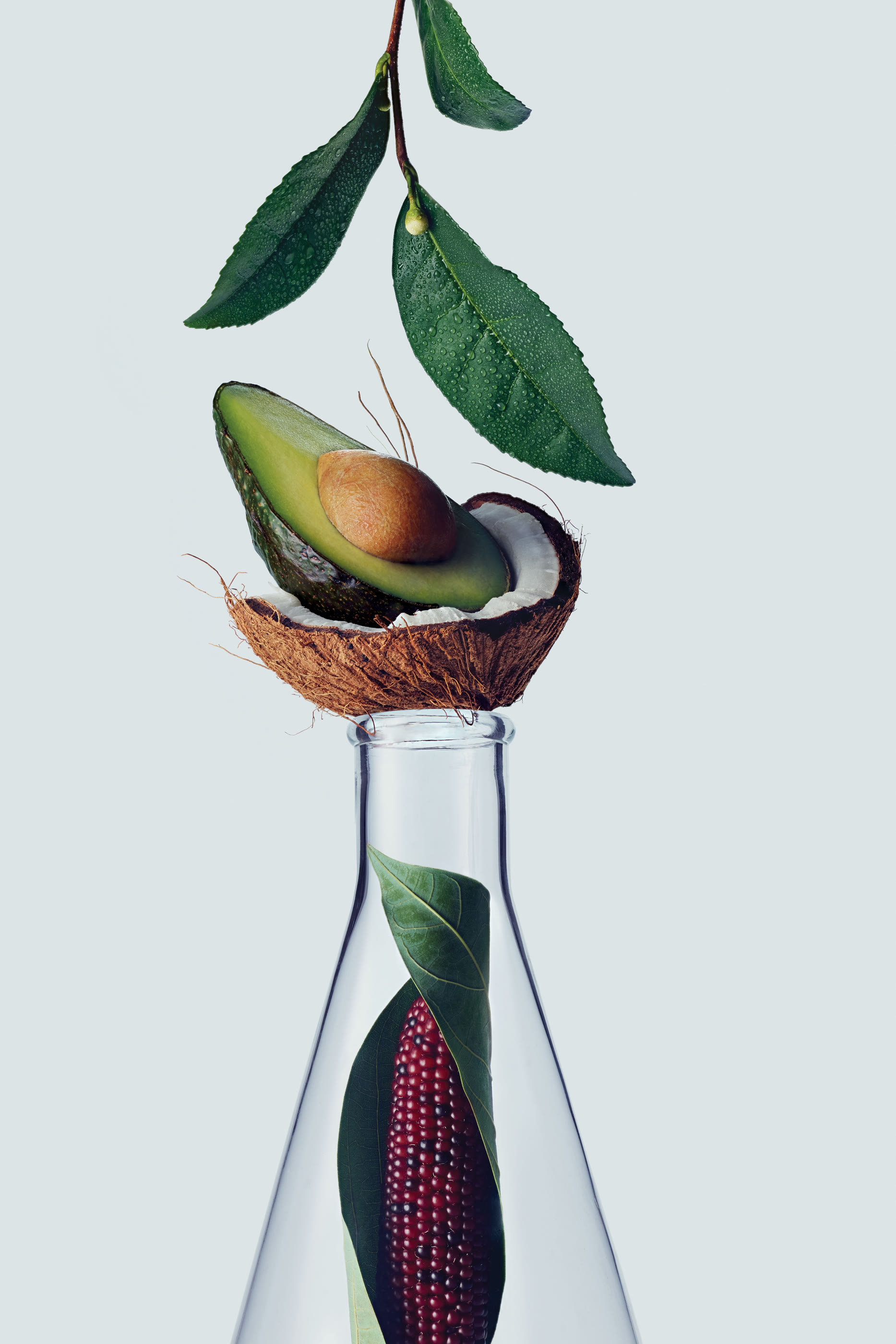 شامبو بوتانيكال ريبير لتقوية الشعر