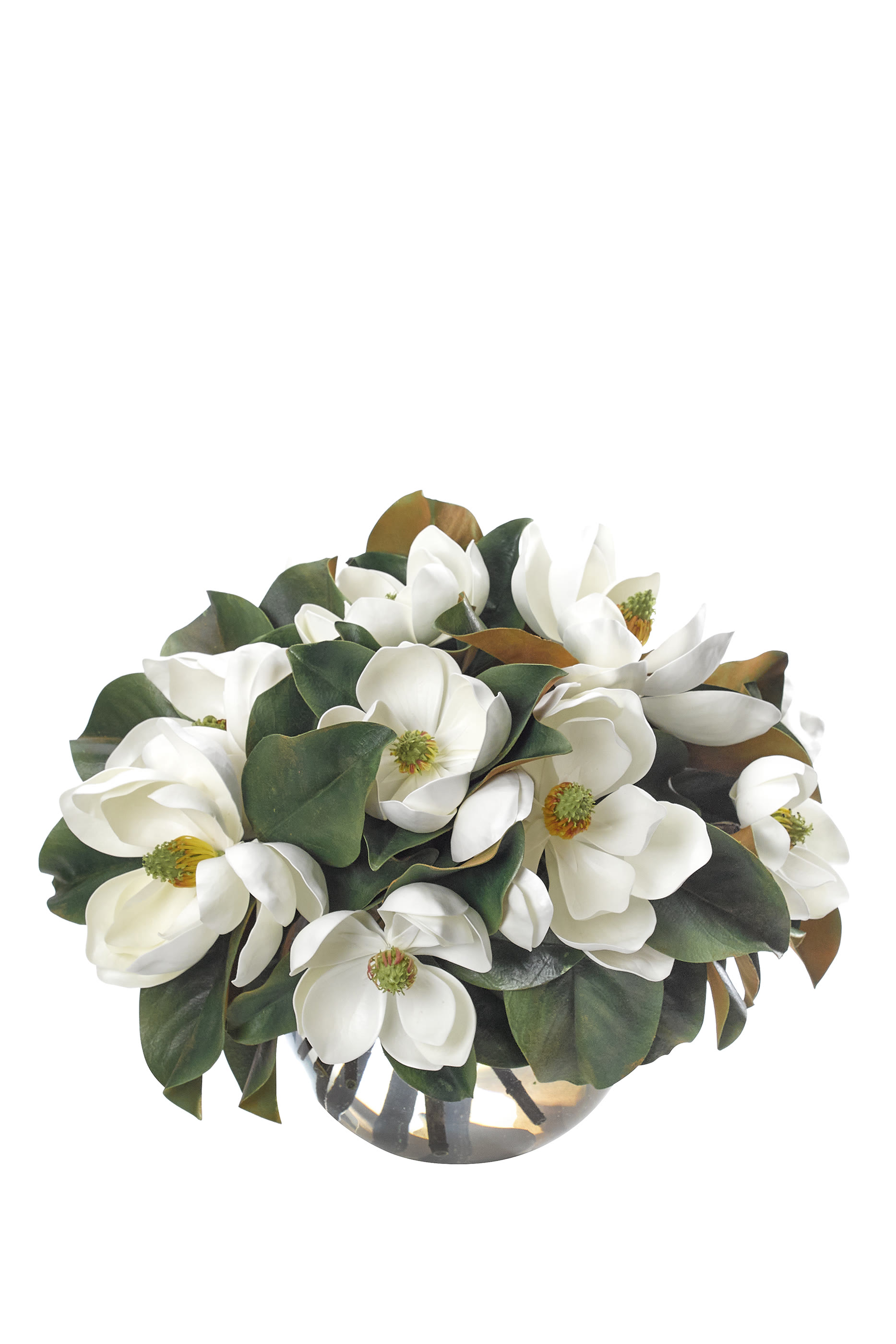 باقة زهور ماجنوليا في مزهرية زجاجية عريضة بتصميم مقوس