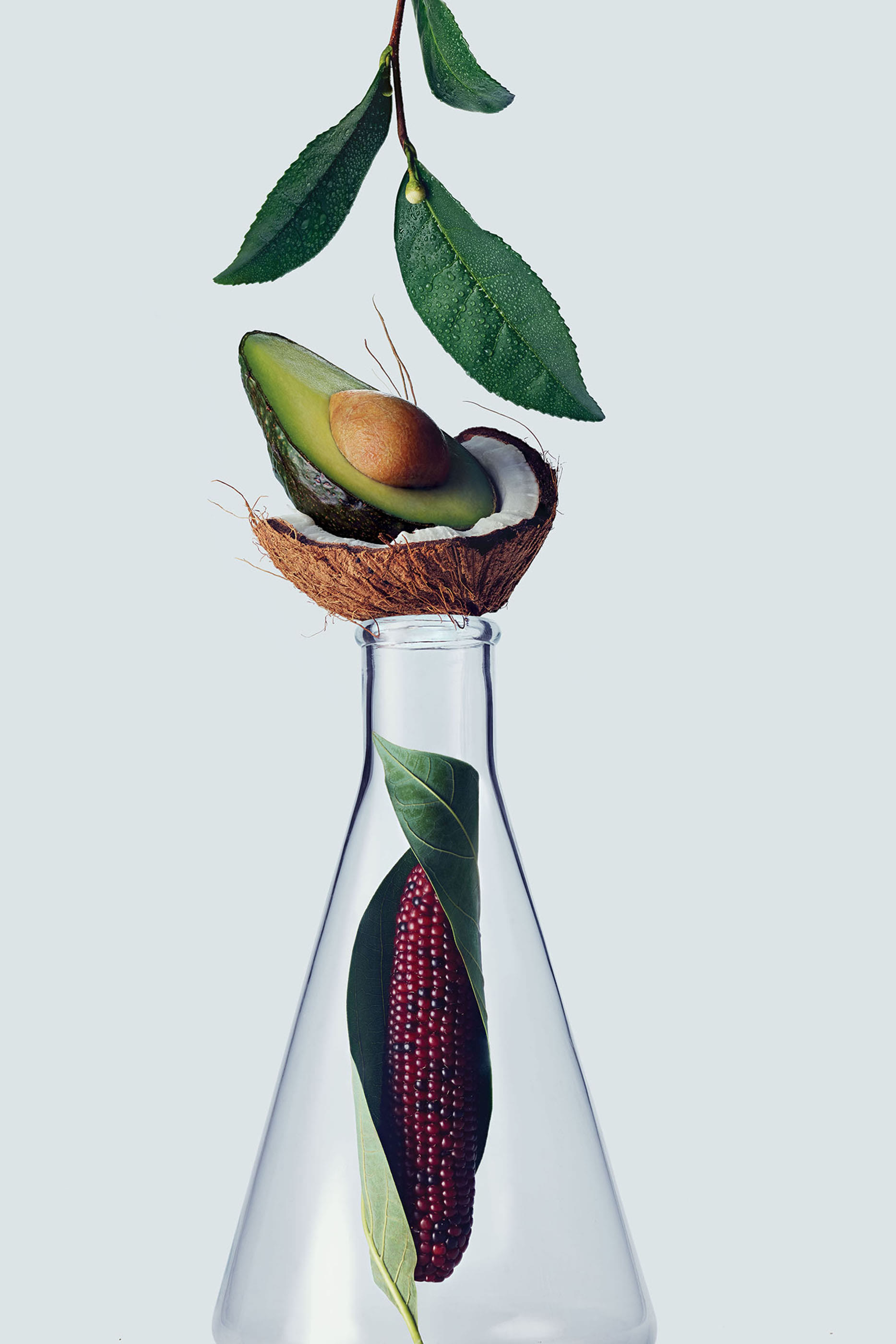 قناع بوتانيكال ريبير مكثف لتقوية الشعر - غني