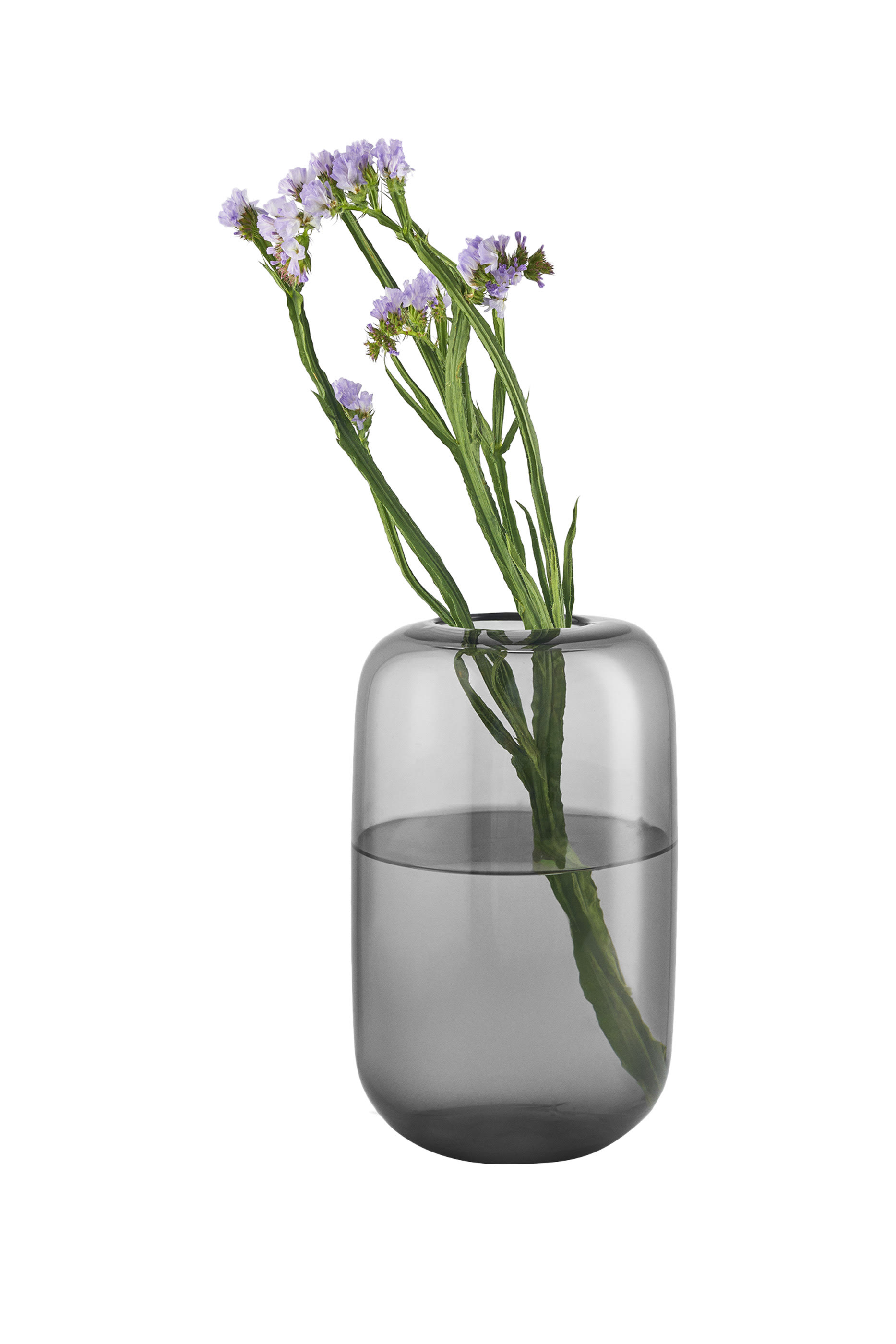 مزهرية آيكورن زجاجية