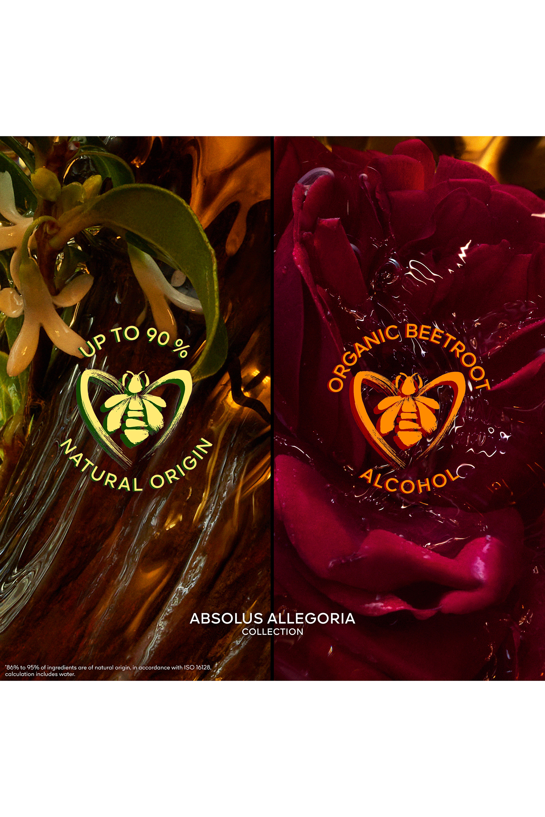 أو دو بارفان ايبيسيز إكسكويسيز