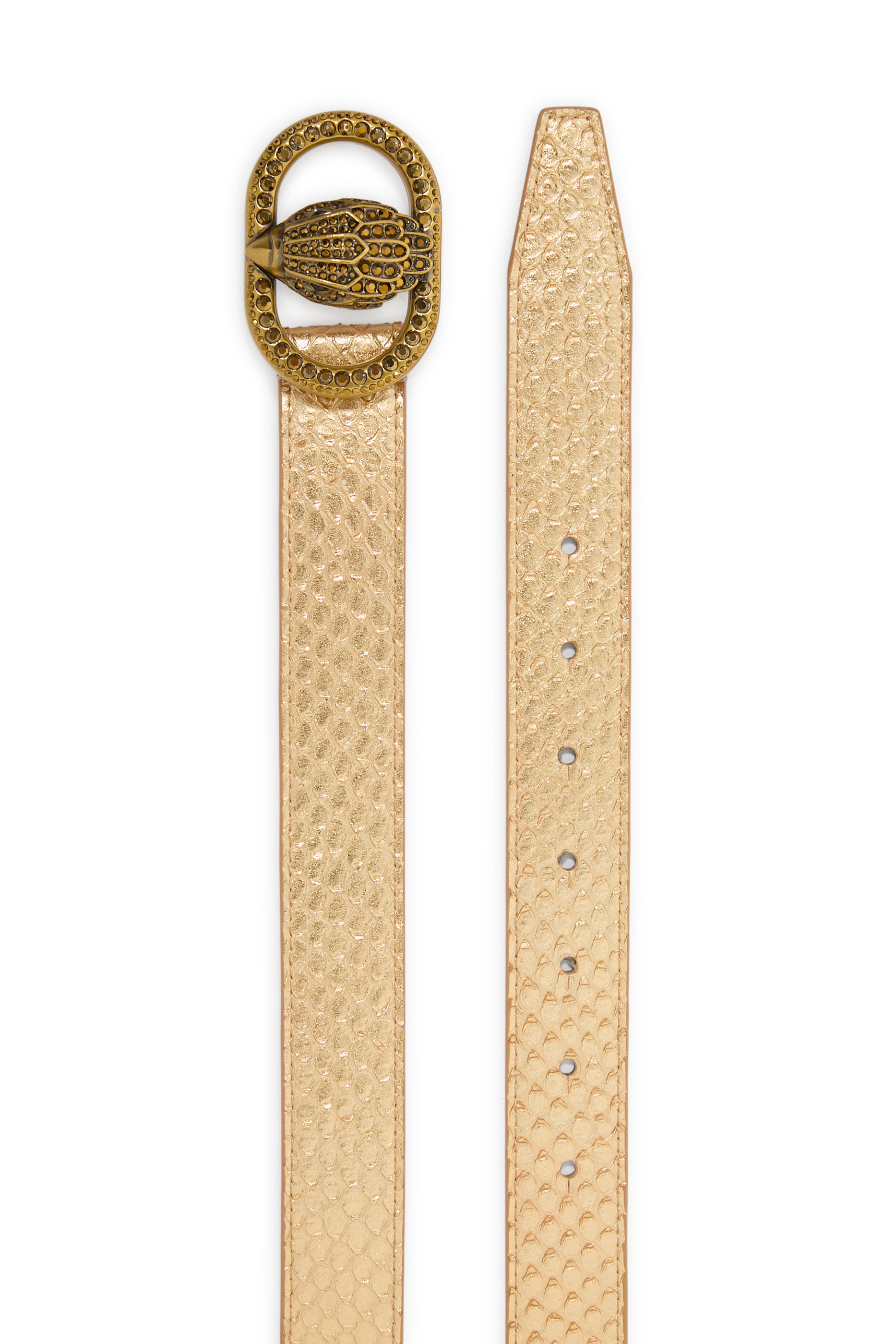 حزام تشيلسي