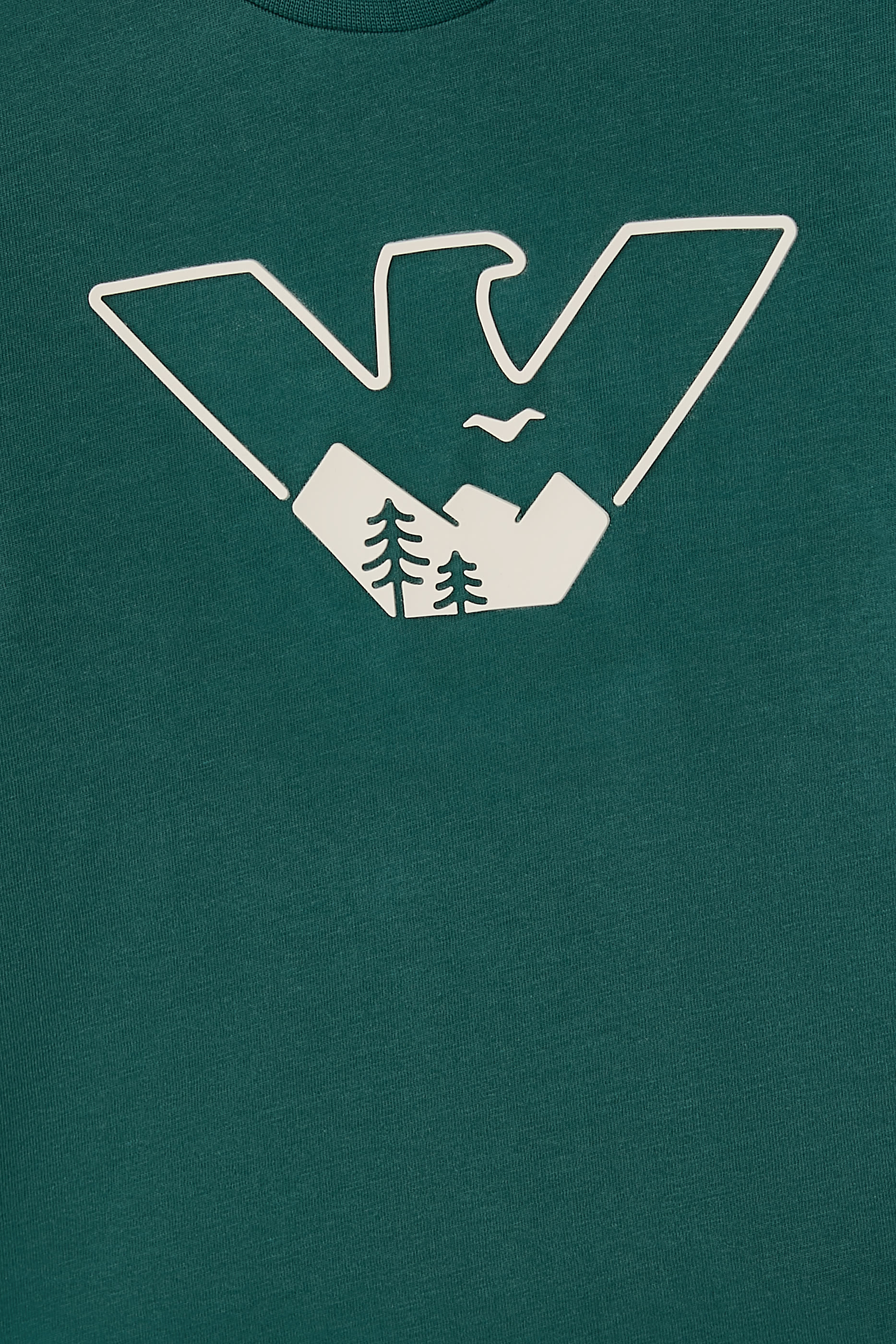 Kids Mountain Logo T-shirt