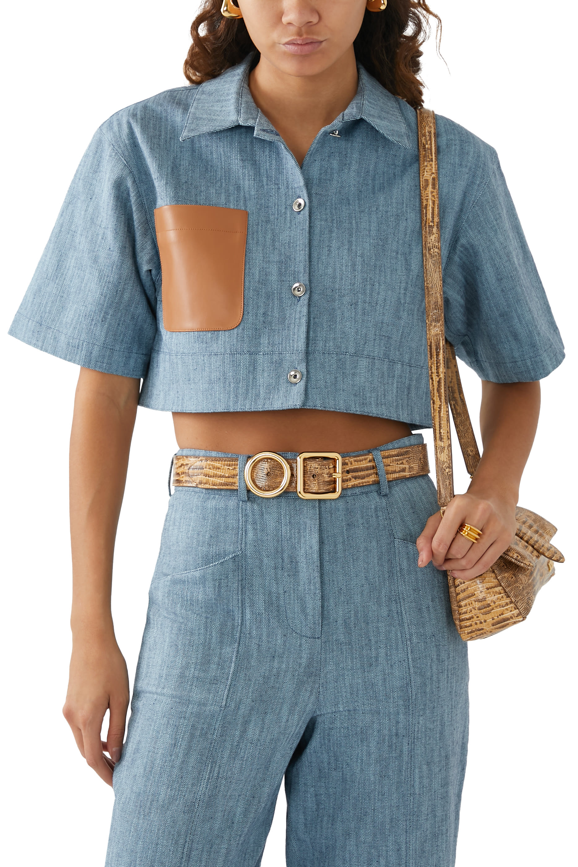 حزام ريجالو