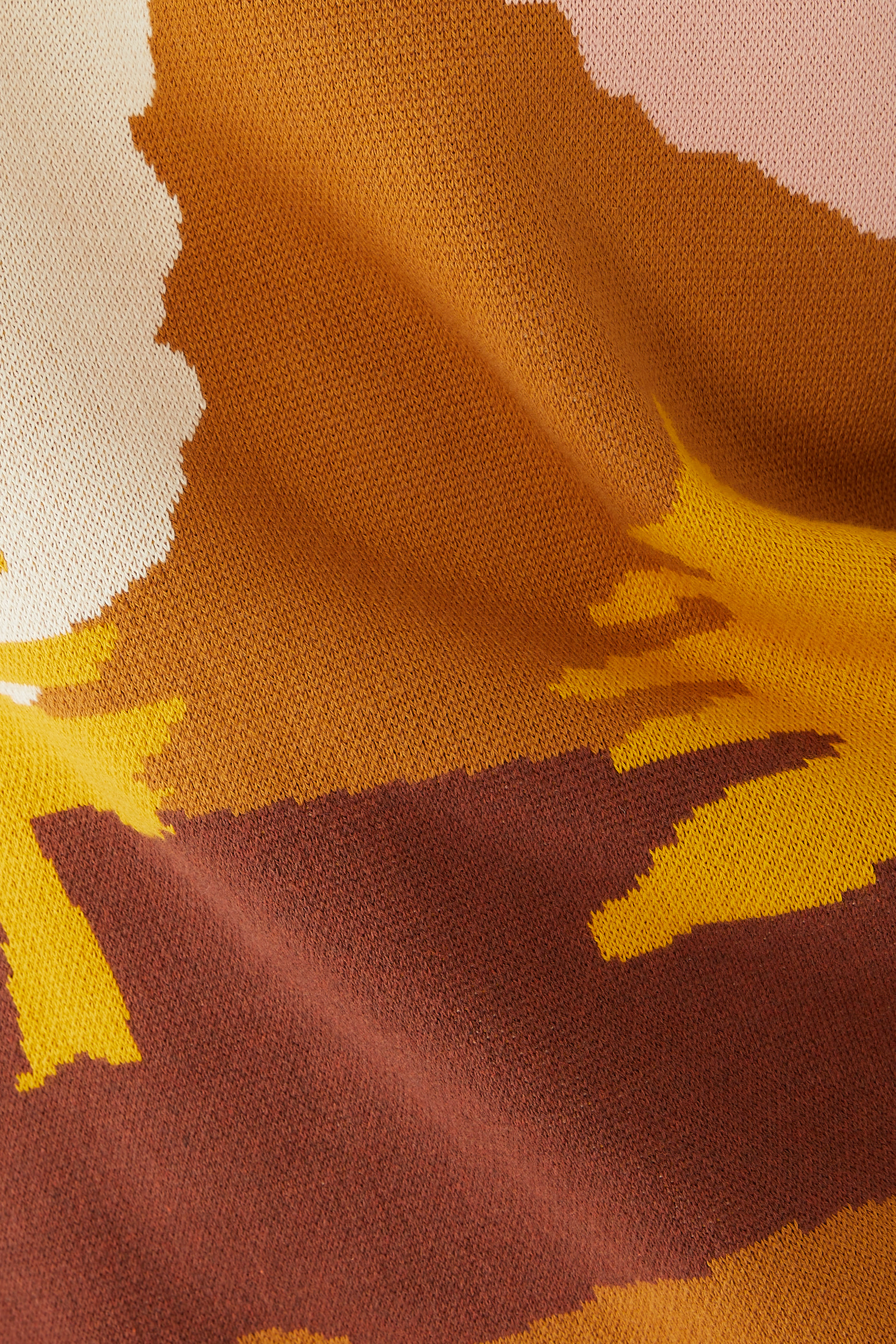 فيست بطبعة قطن