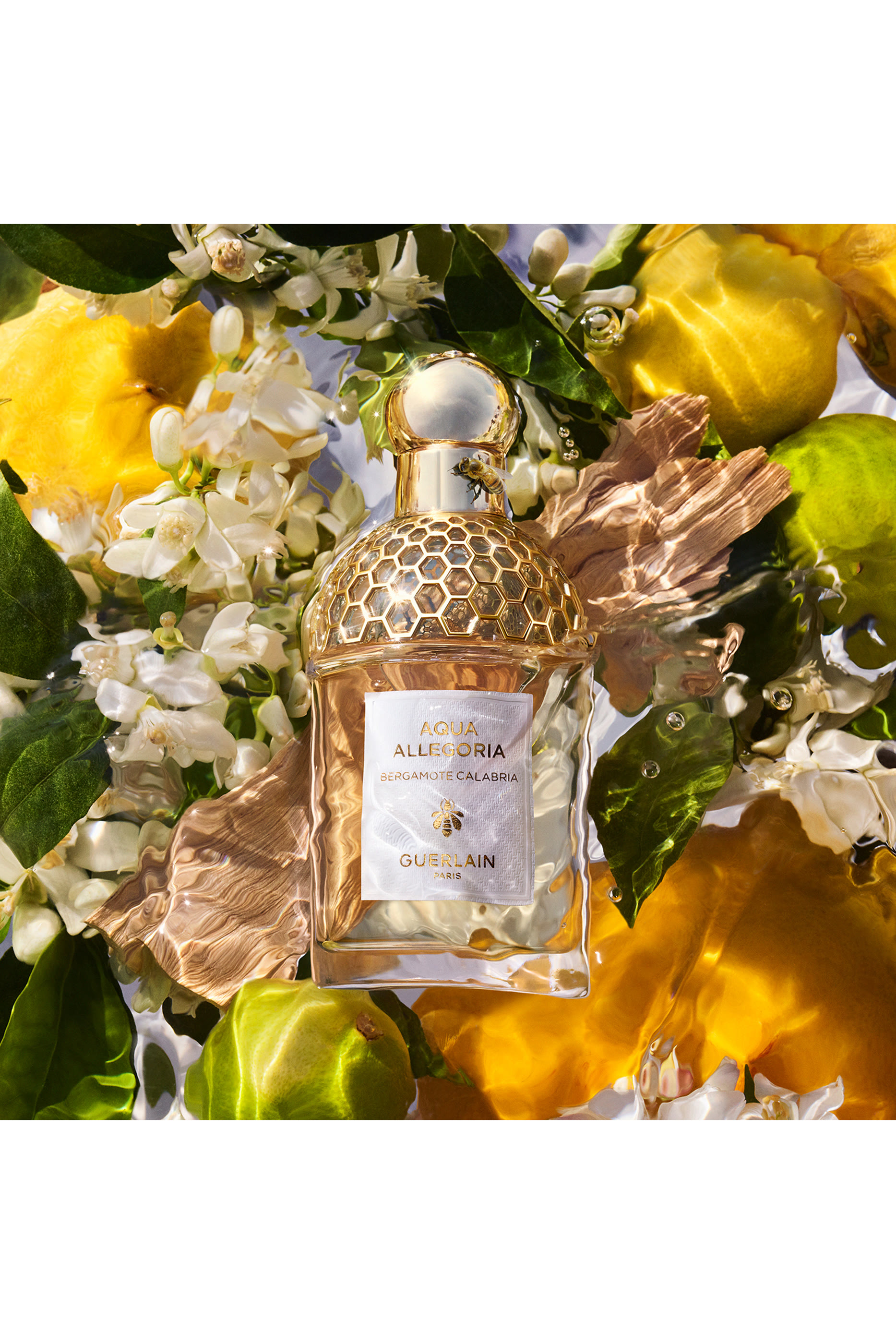 أو دو تواليت برغموت كالابريا