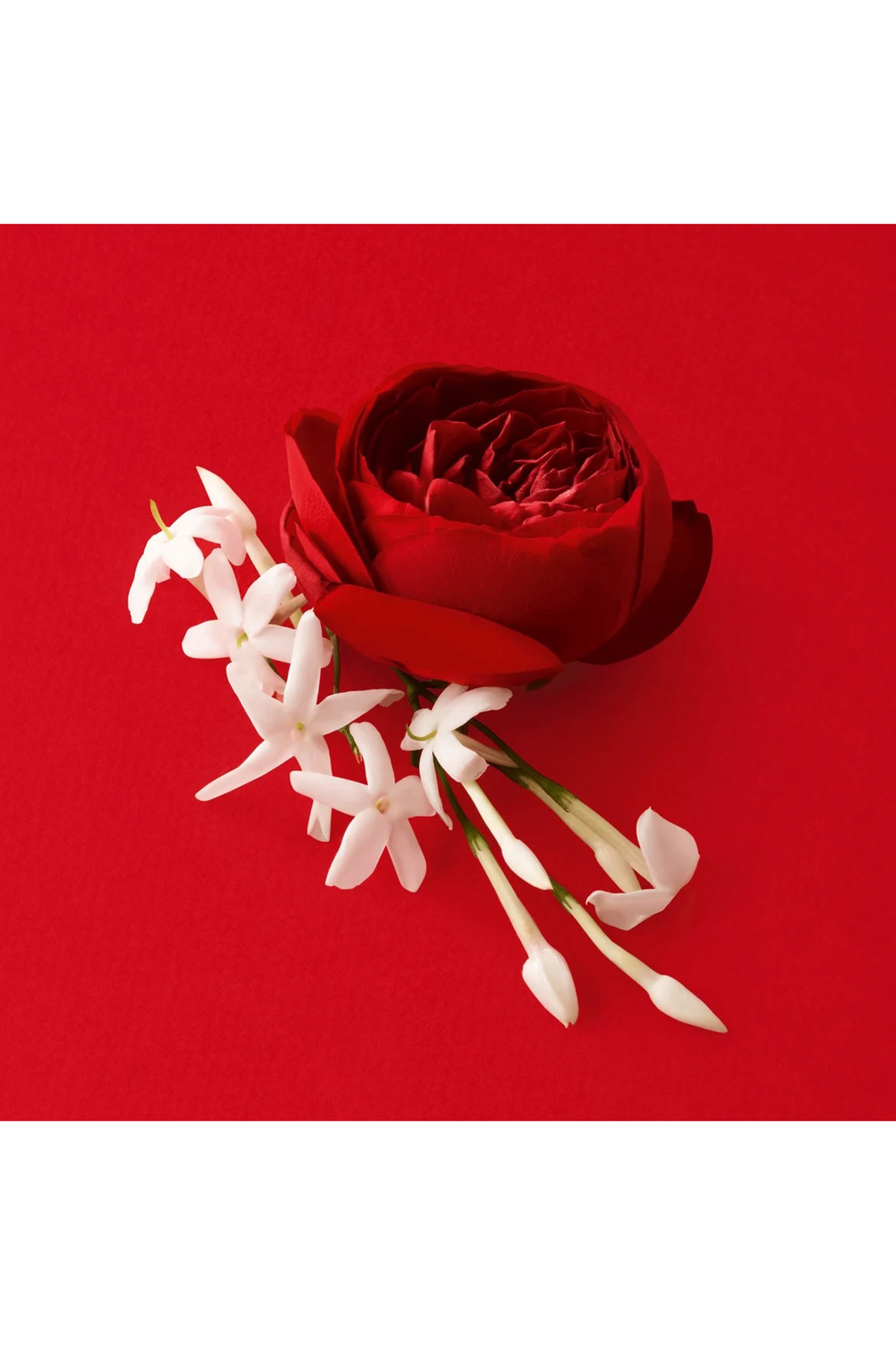 أو دو بارفان سي باشون