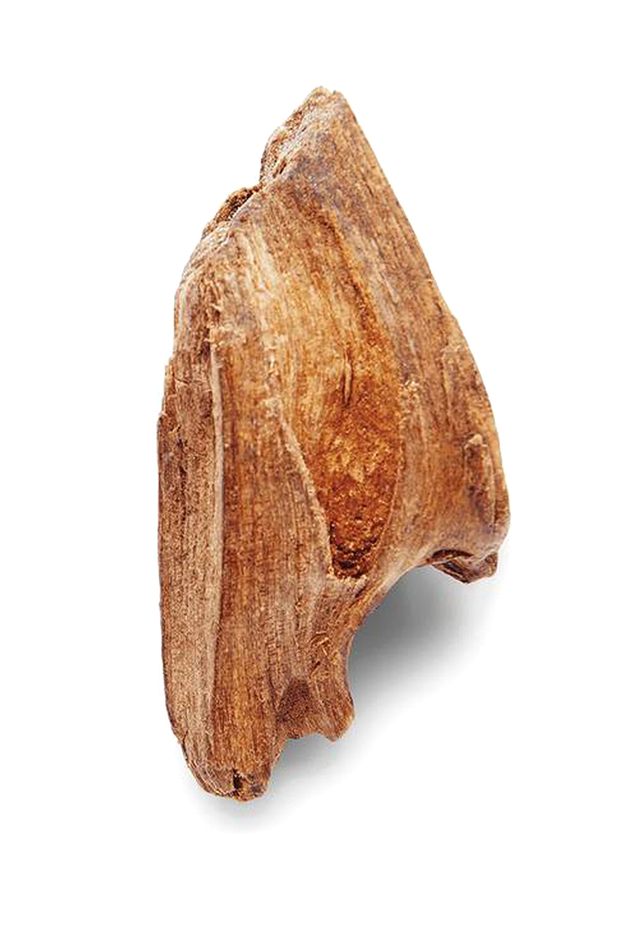 ماء تواليت كود