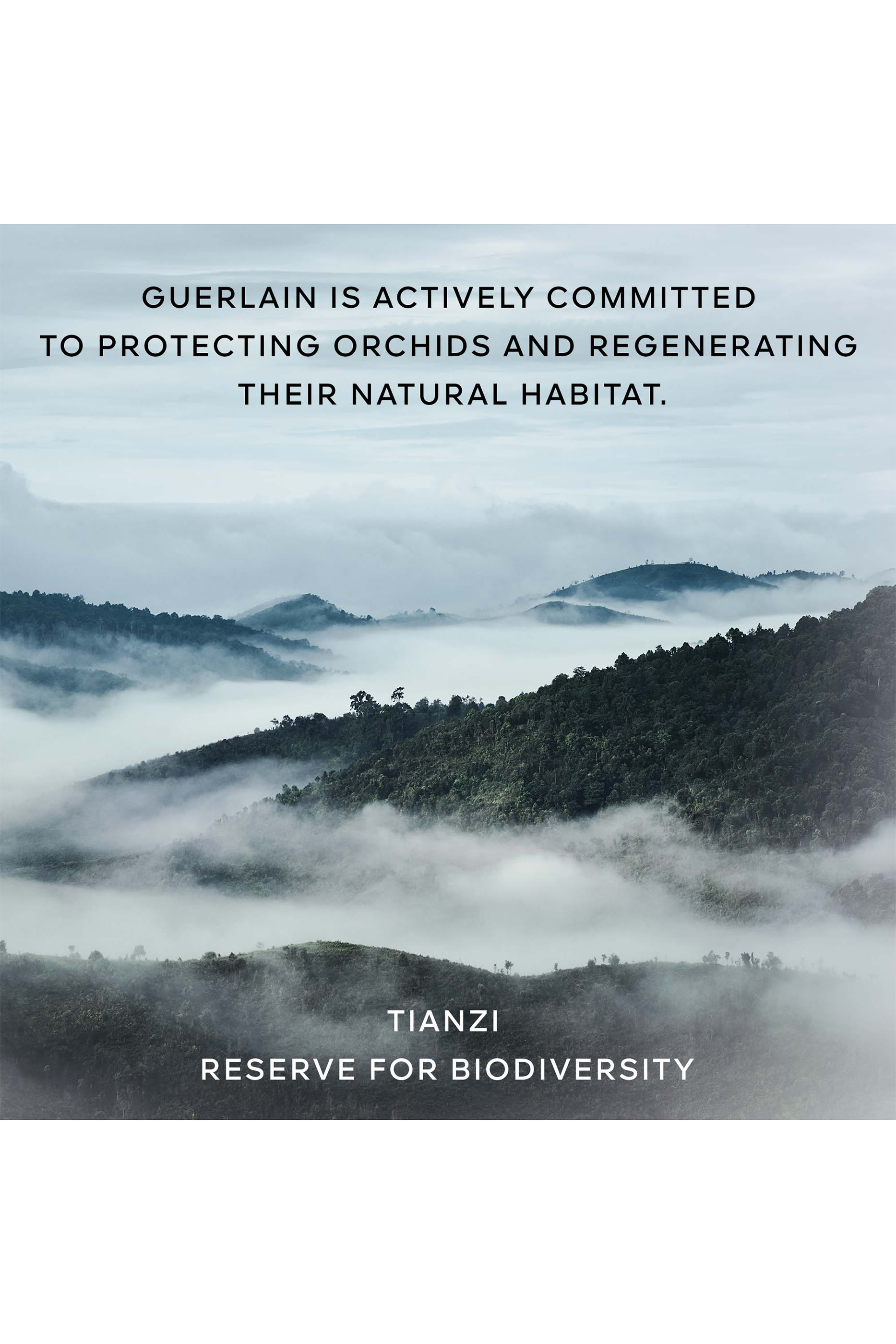 زيت جل أوركيدي امبيريال