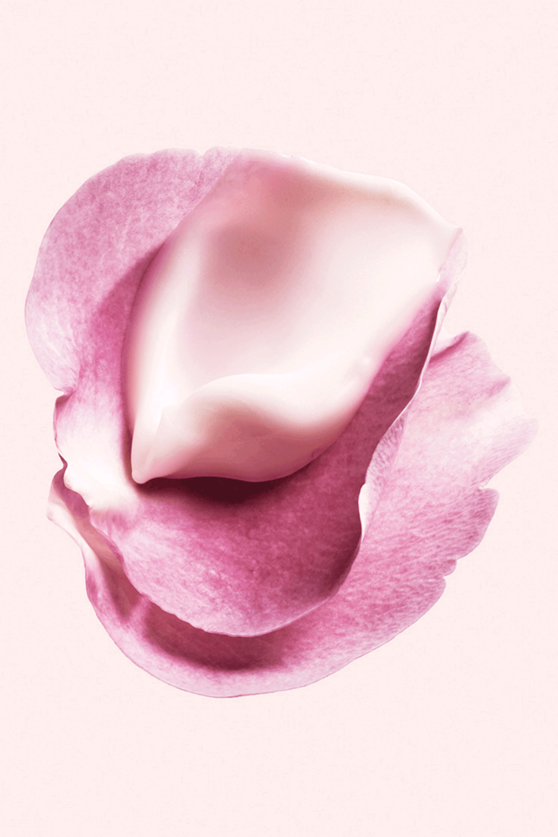 سيروم العين لونتمبورل بلوسوم