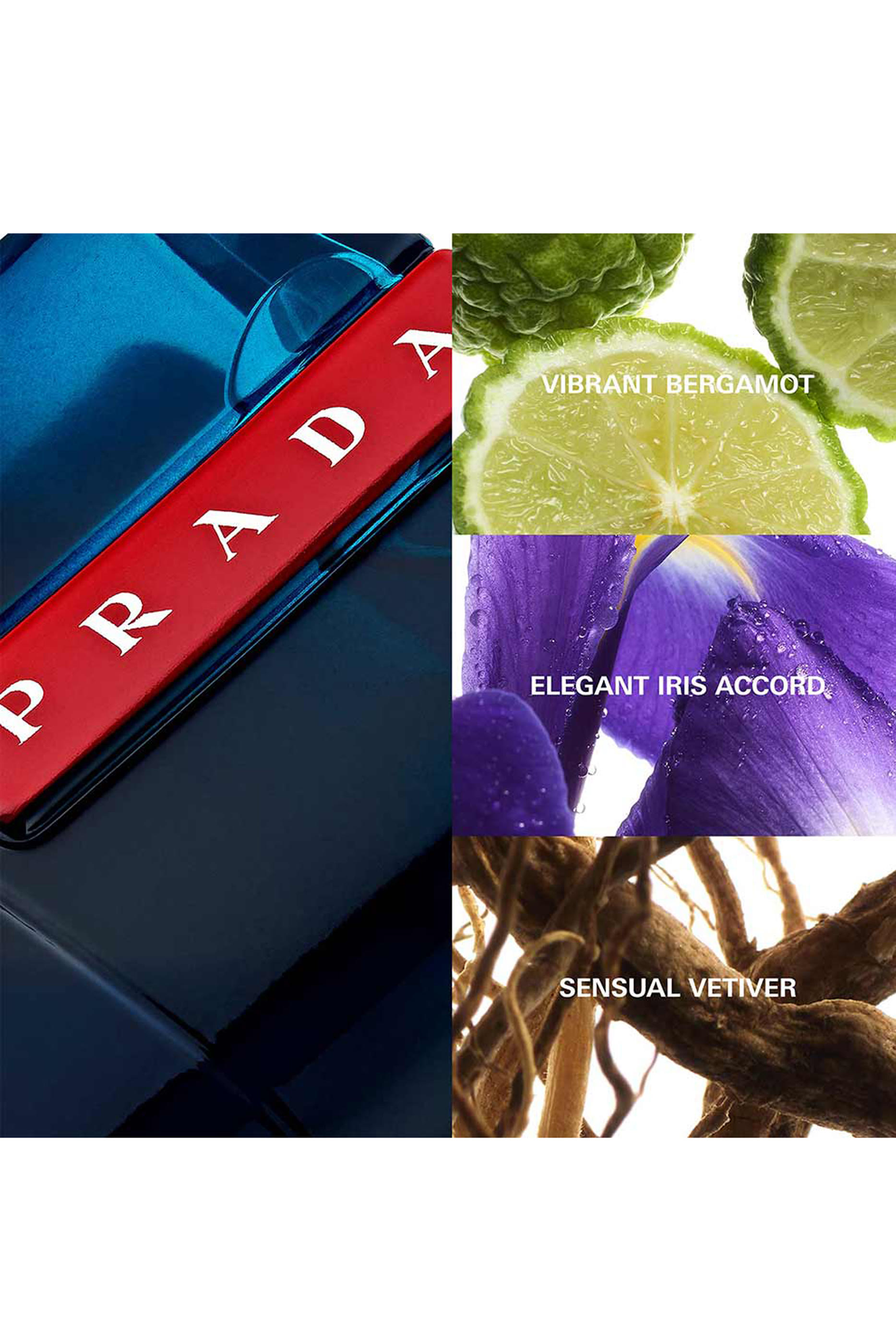 ماء تواليت لونا روزا أوشن