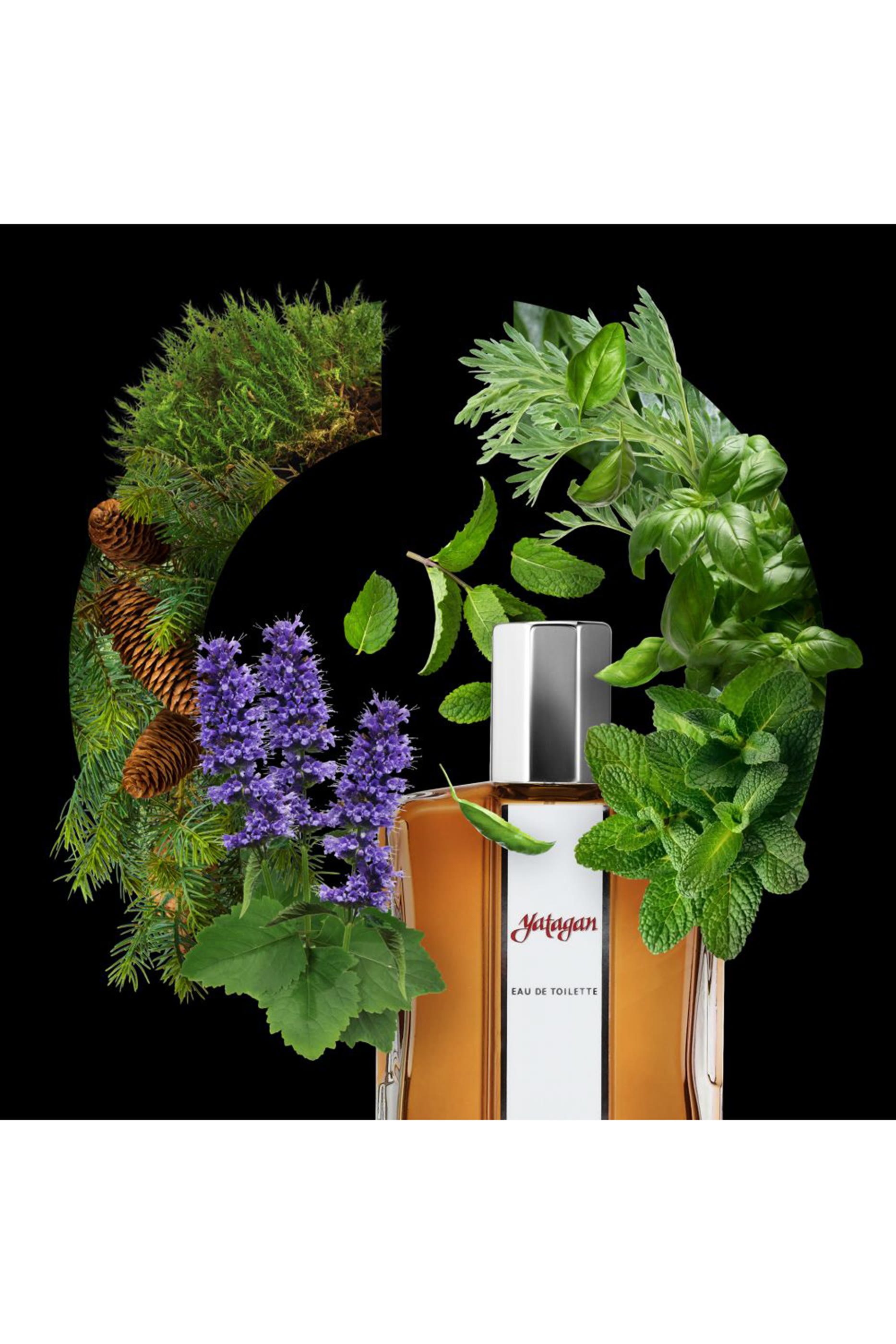 بخاخ ياتاغان