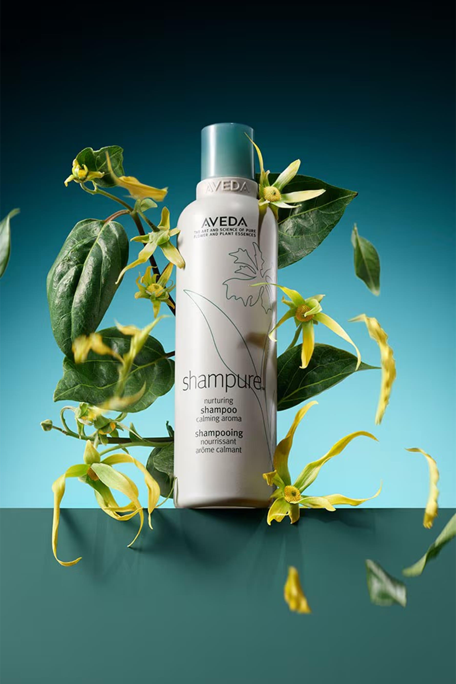 شامبو شامبيور المغذي