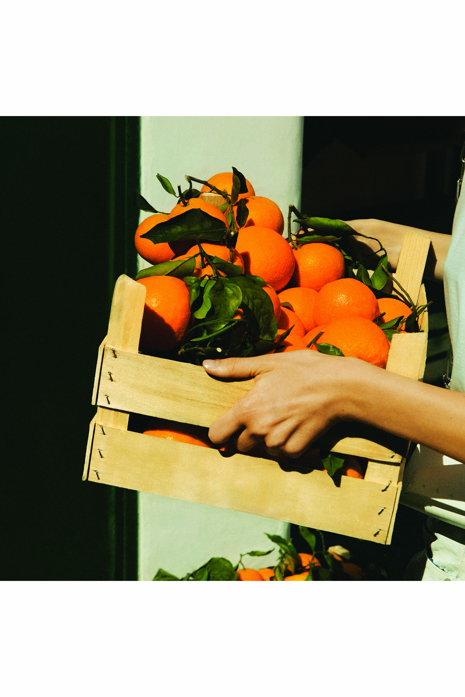 عطر ريبليكا نيفر اندنج سامر