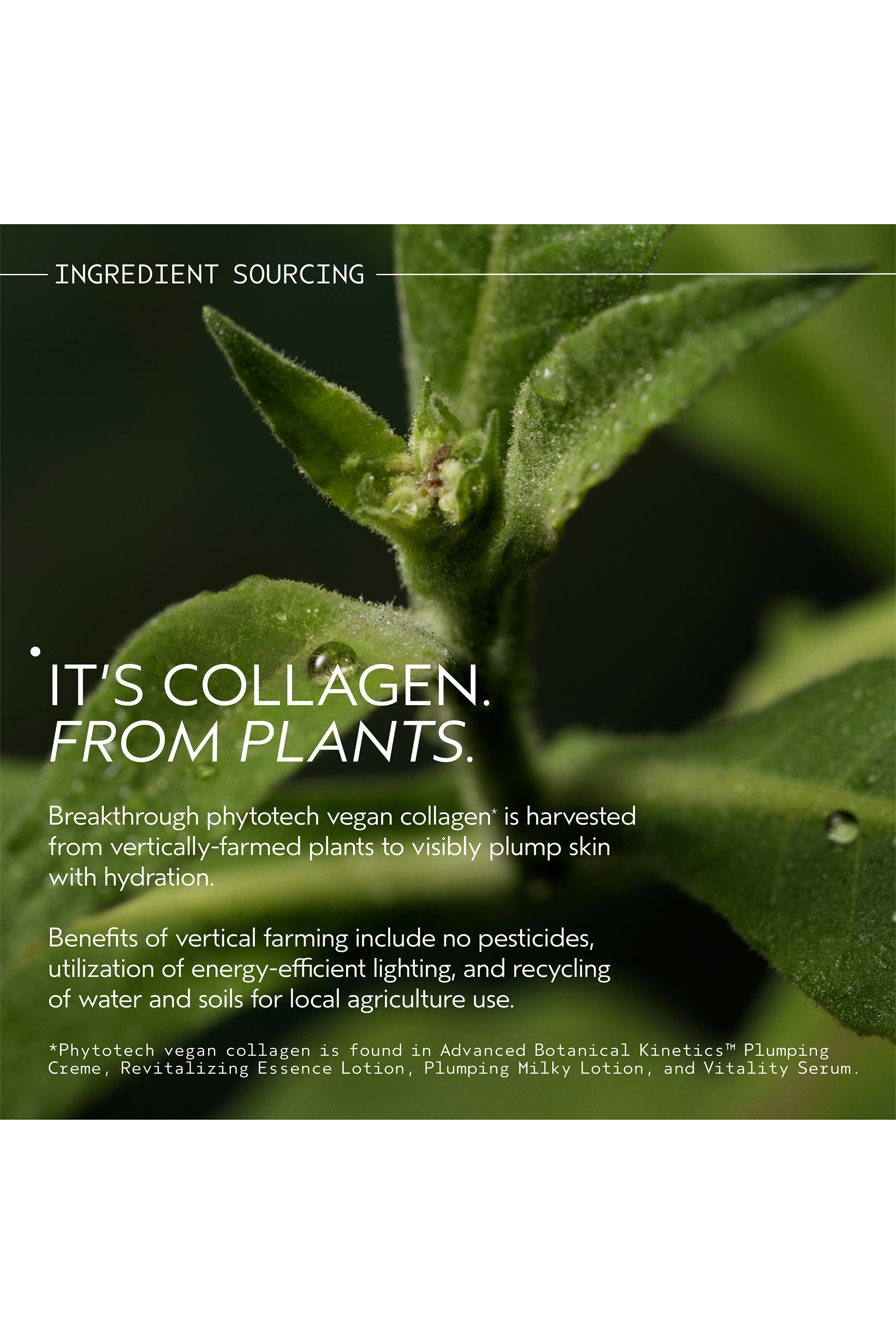 كريم بلَمبينغ أدفانسد بوتانيكال كينيتكس