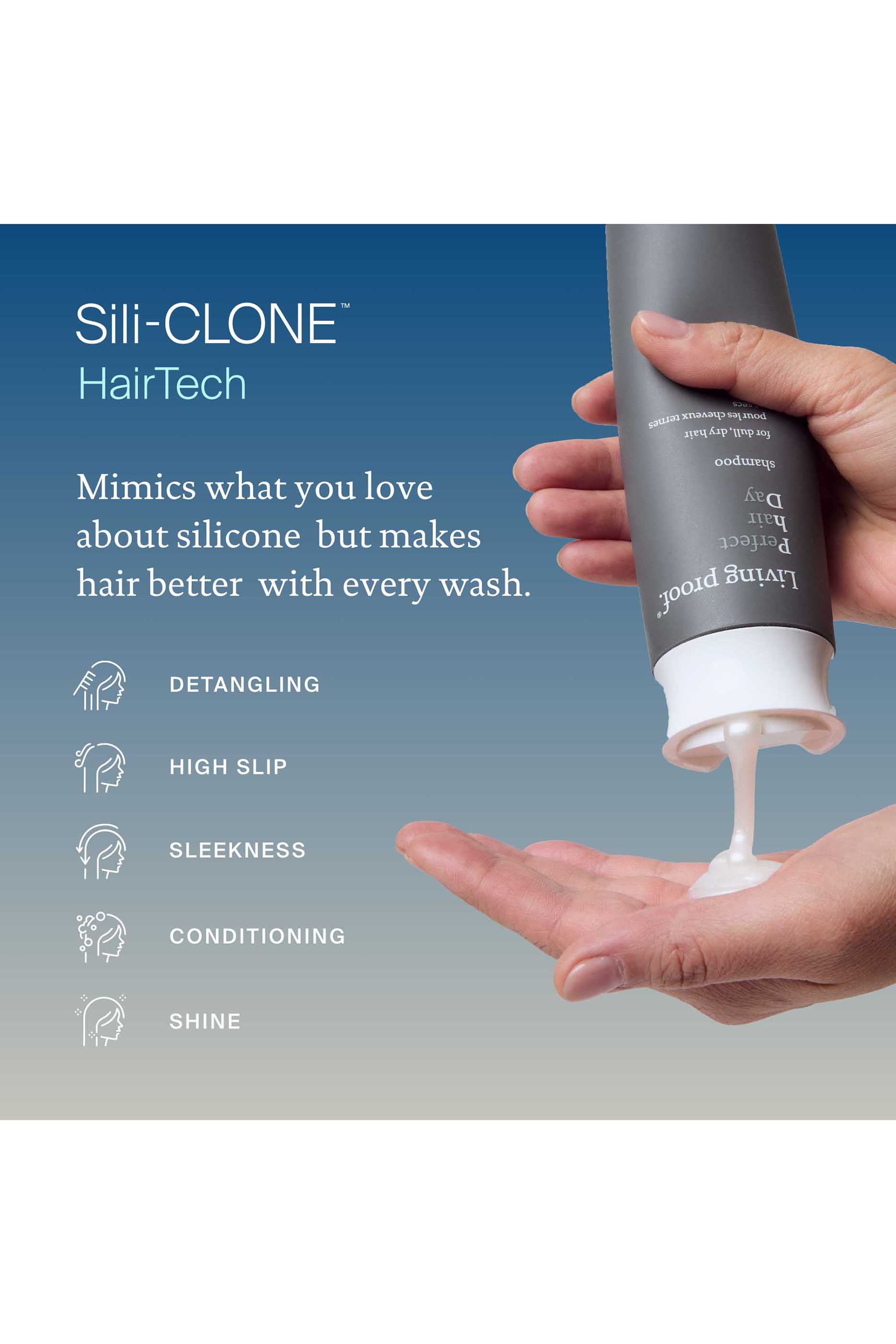 شامبو بيرفكت هير داي