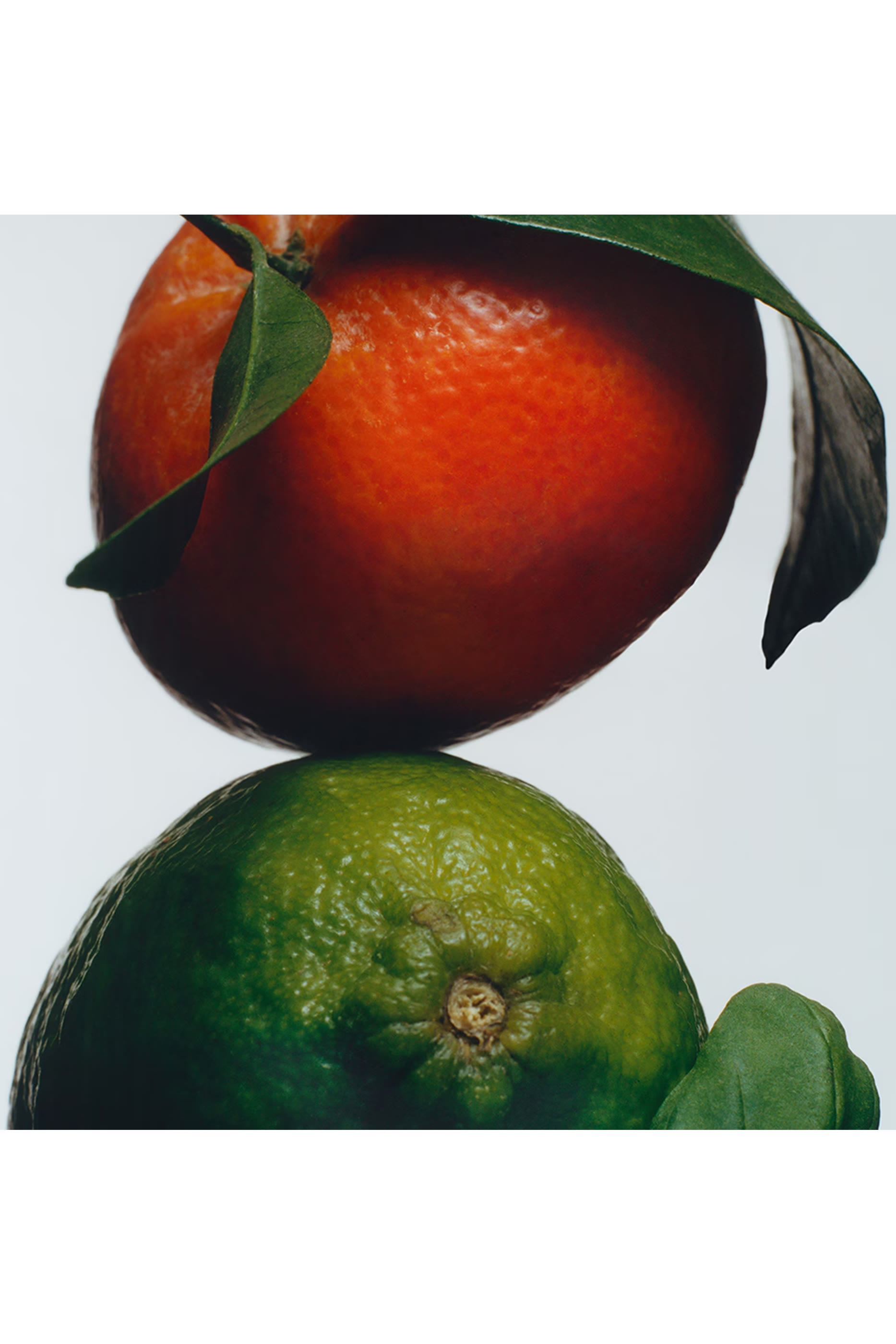 كولونيا لايم باسيل اند ماندرين