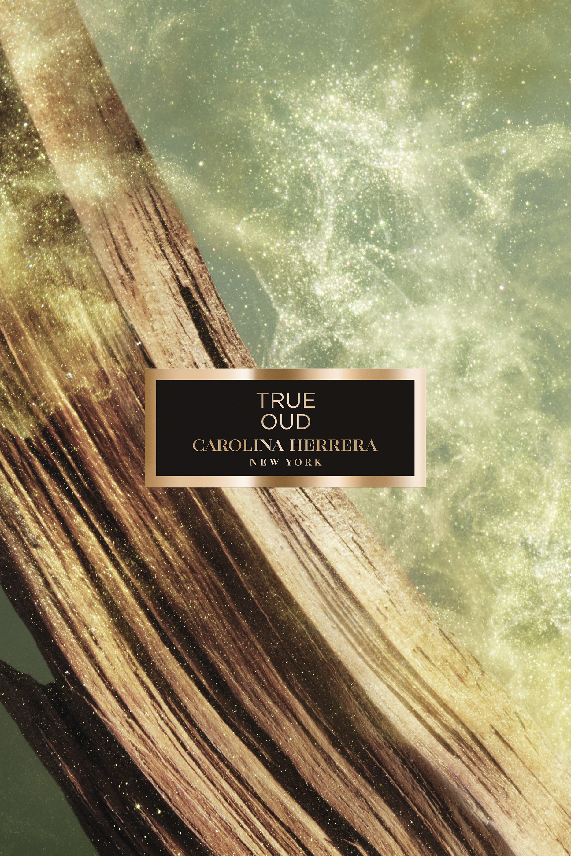 ماء عطر هيريرا ترو عود