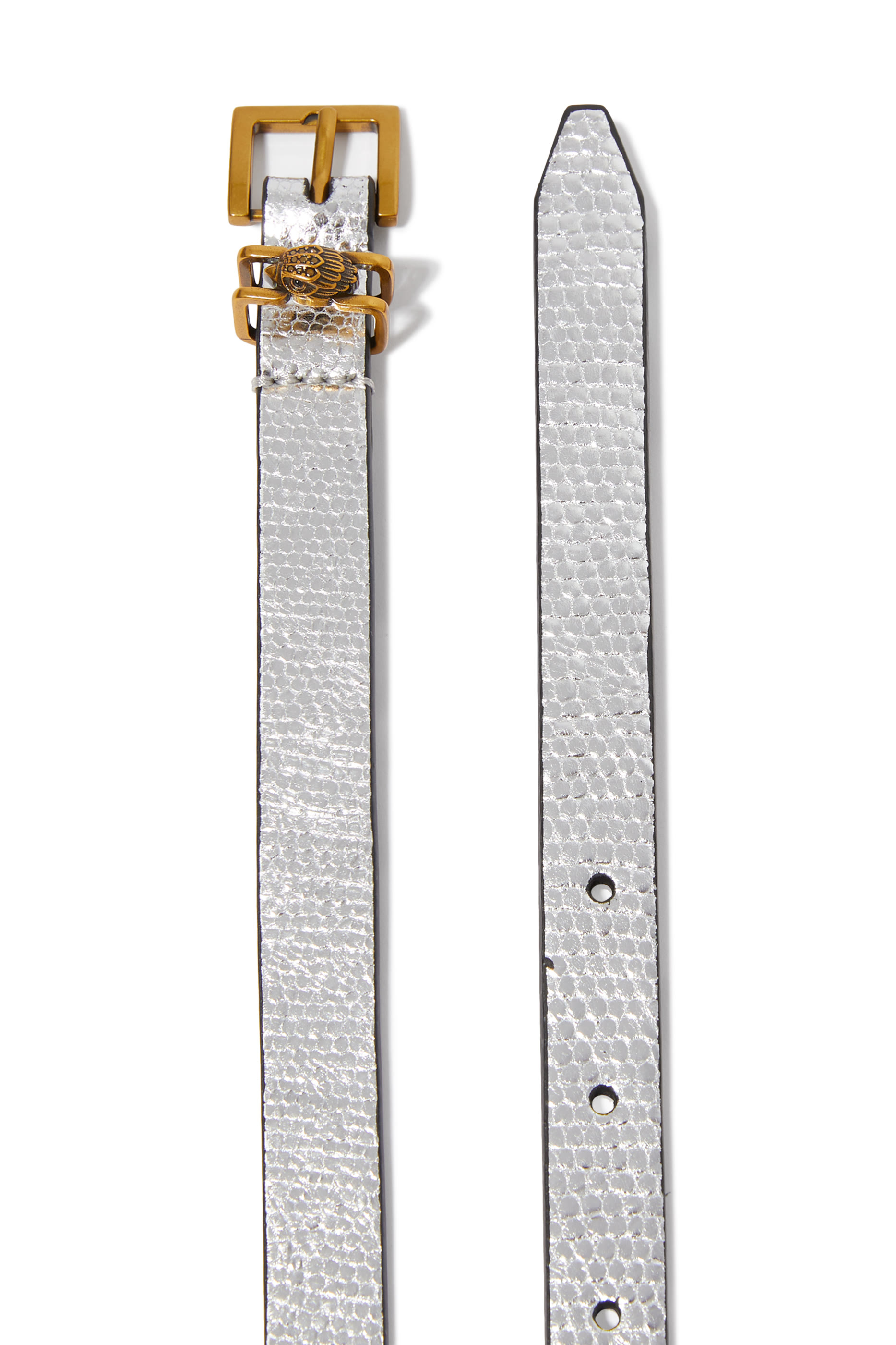 حزام شروديتش جلد