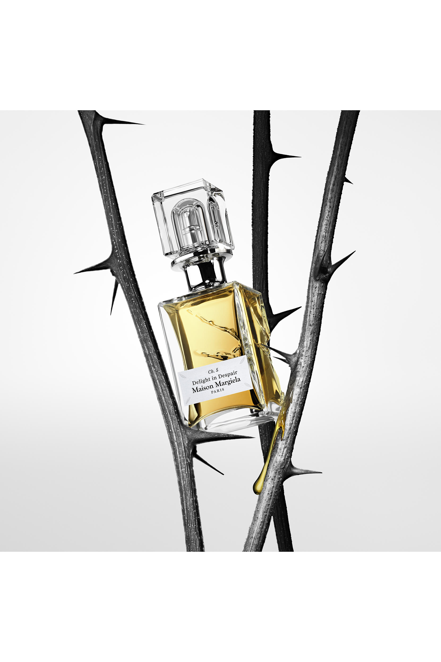 عطر سينسوريوم كوليكشن تشي.5 ديلايت إن ديسبير