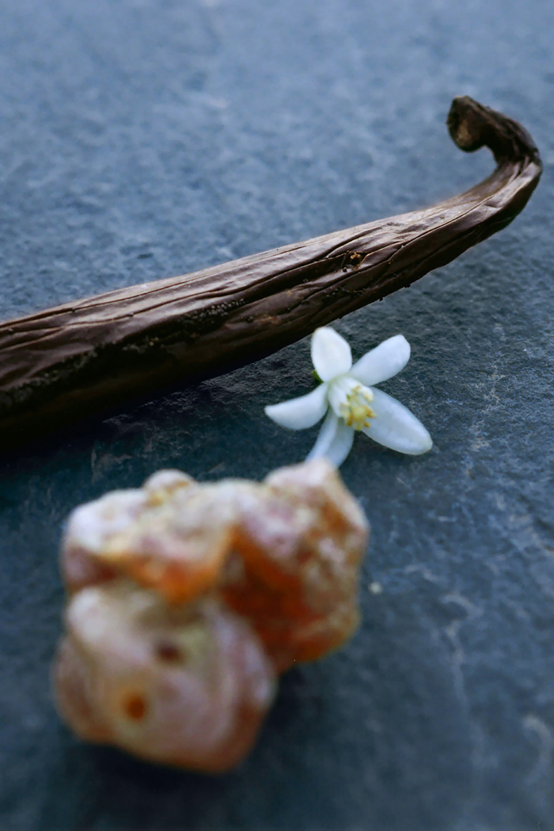 أو دو بارفان نوماد نوي ديجيت