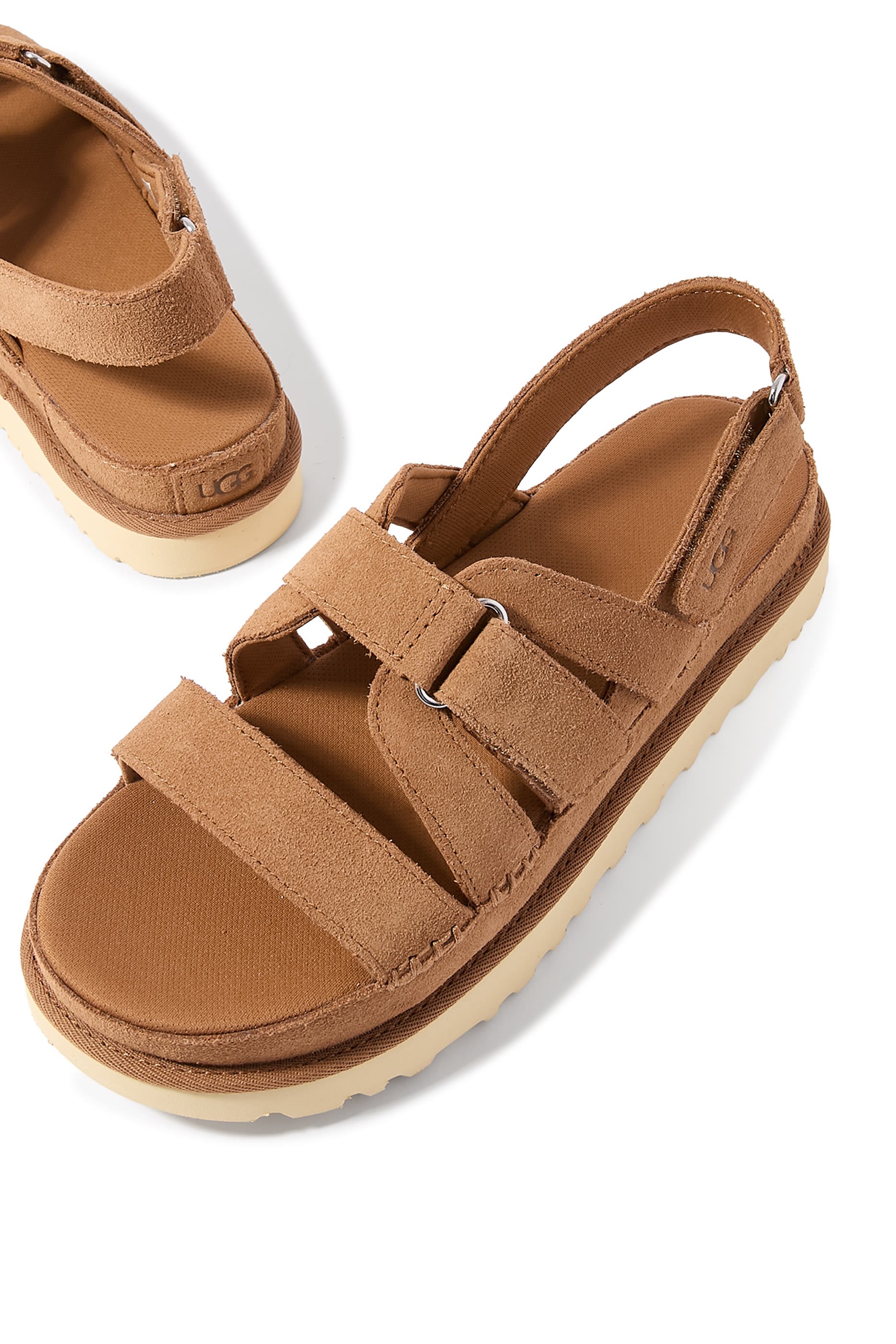 صندل غولدن ستار جليم