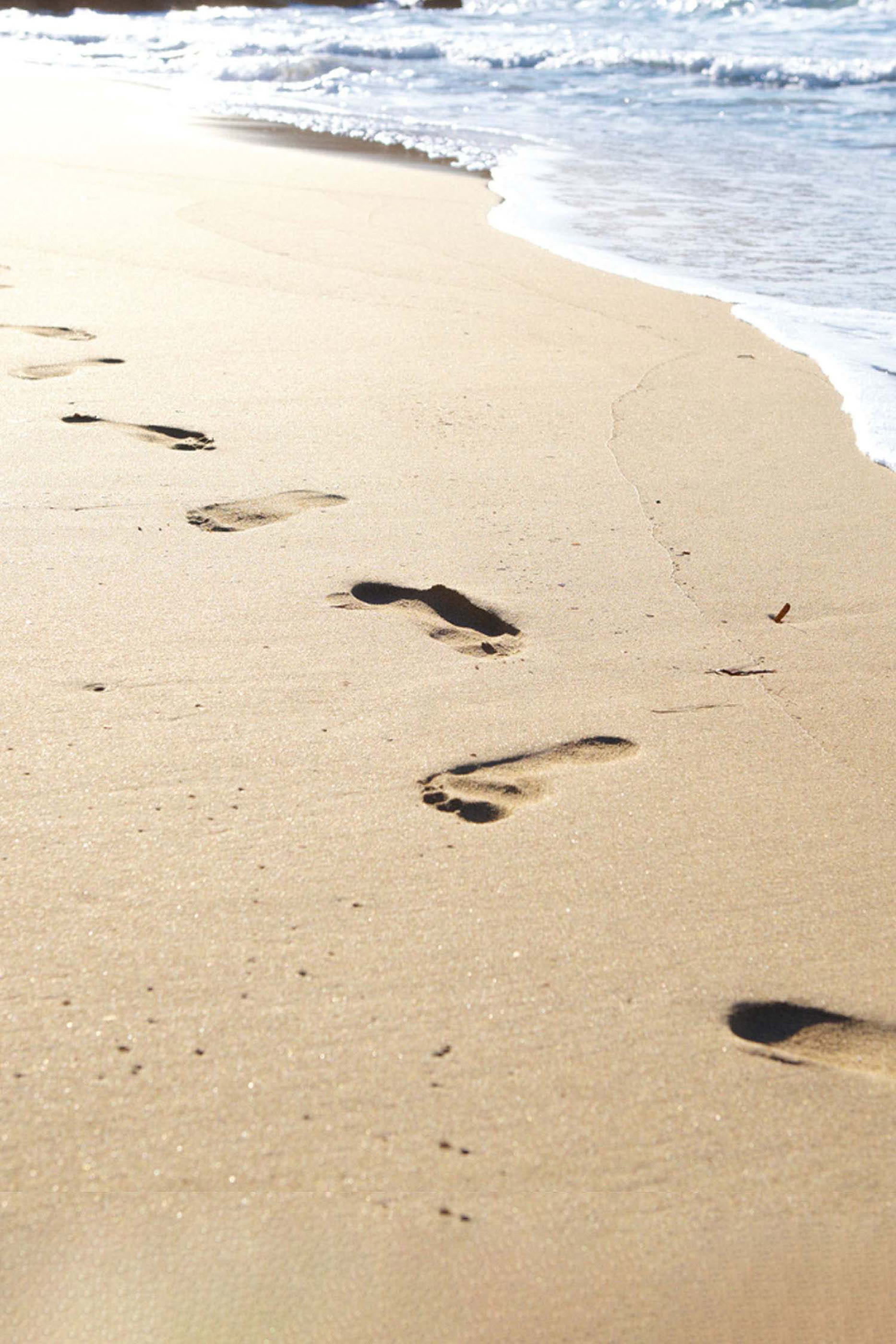 عبوة إعادة ملء أو دو تواليت ريبليكا بيتش ووك