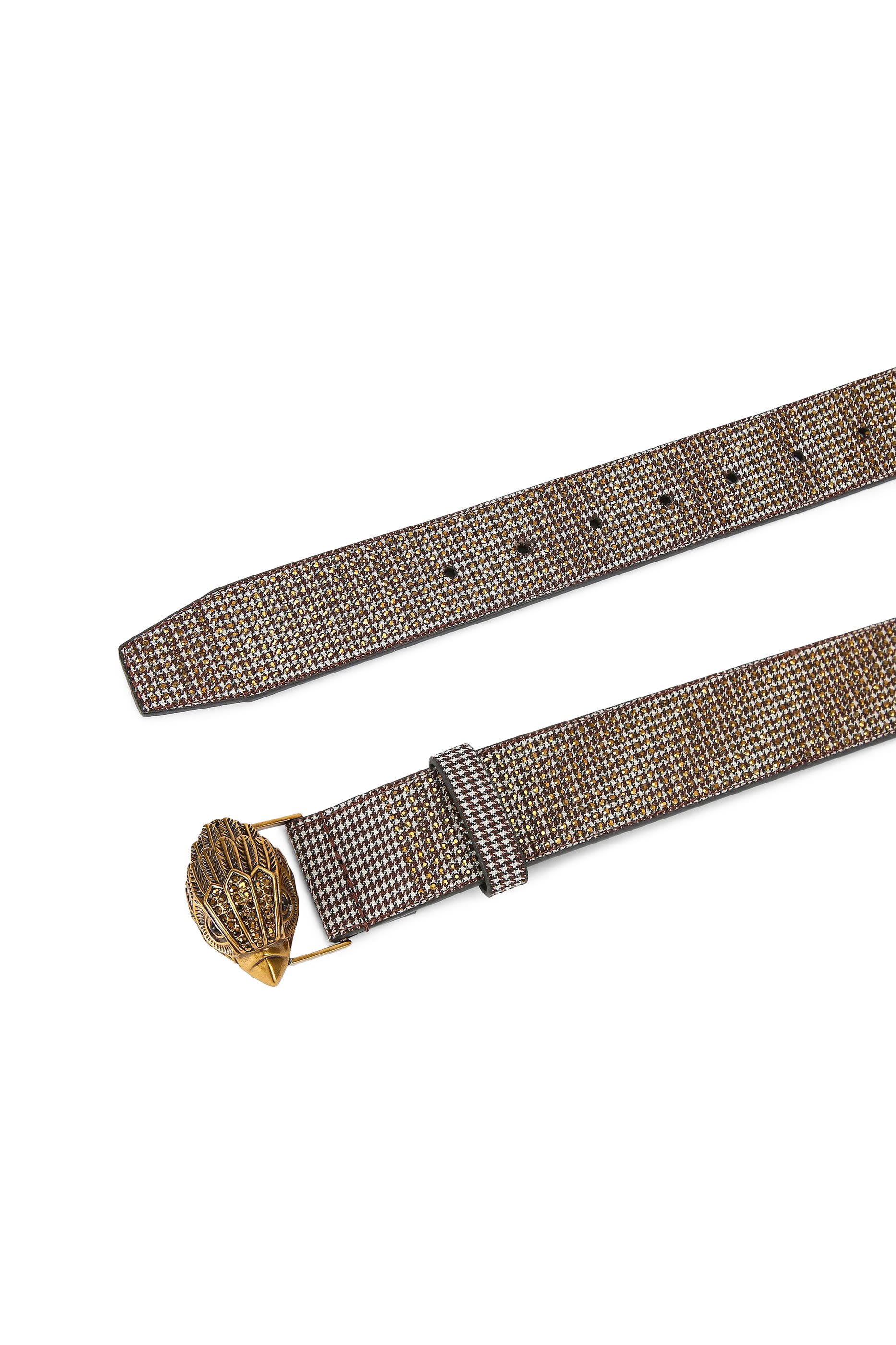 حزام كنسنغتون