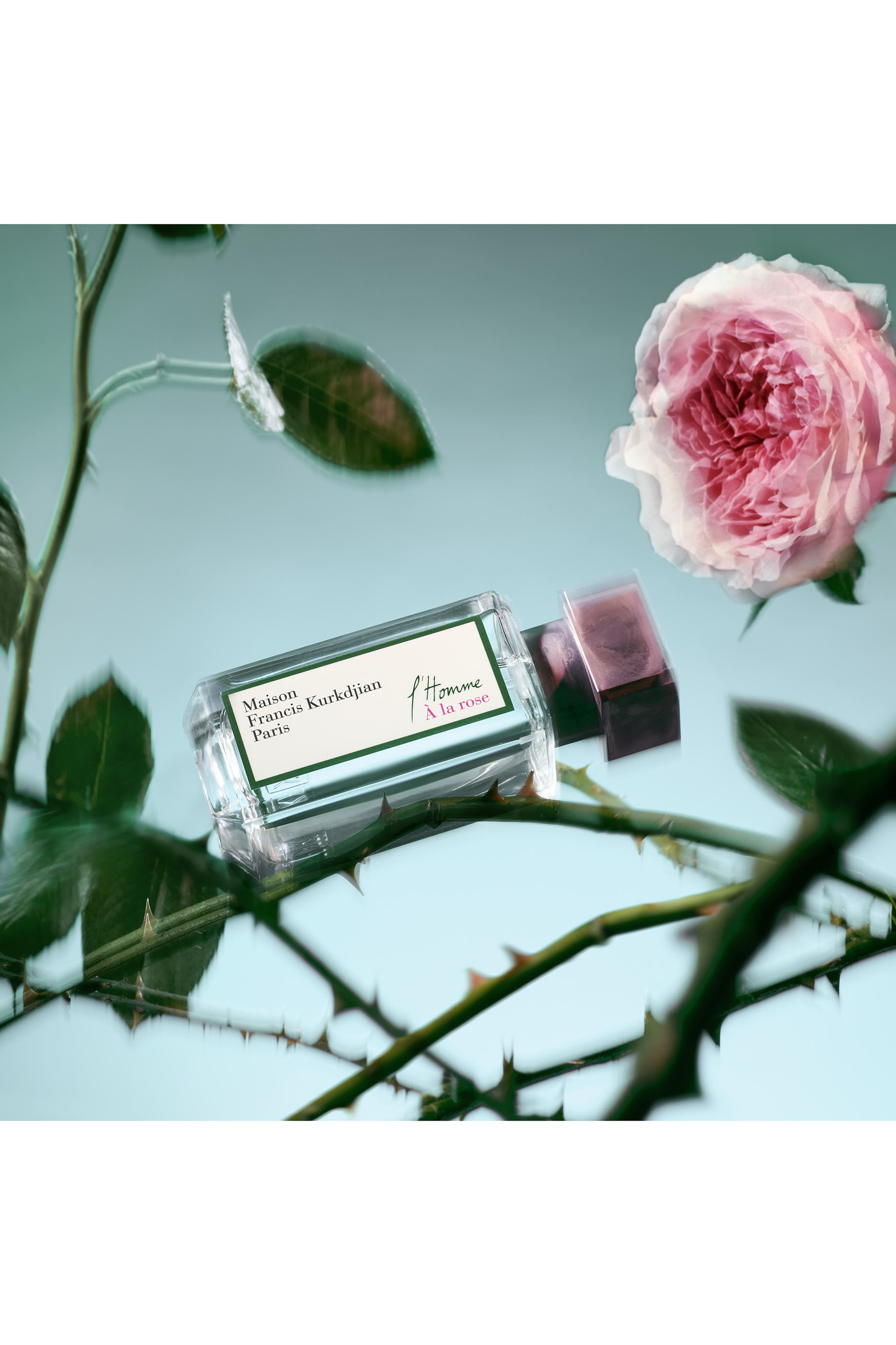 ماء عطر لوم آلا روز