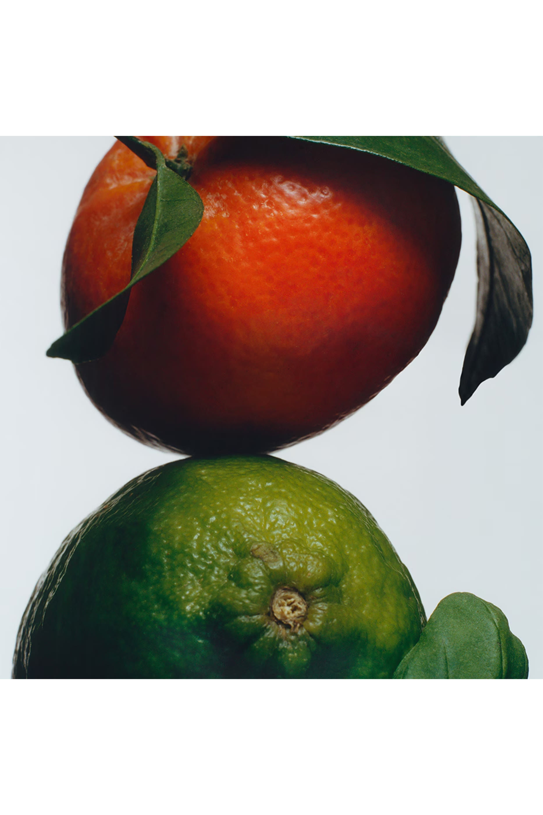 شمعة للمنزل بعطر لايم بيسل اند ماندارين