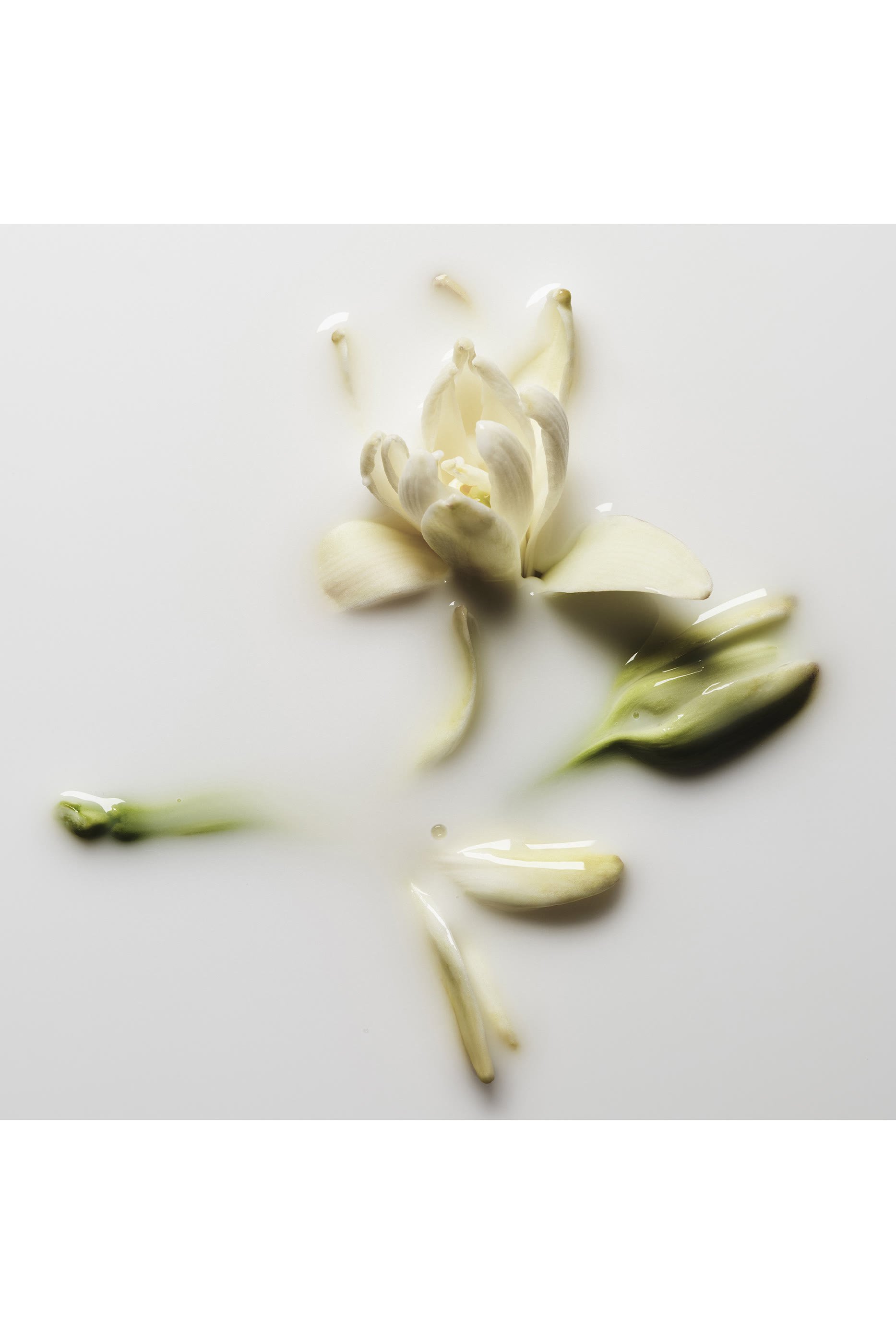 لوشن غود غيرل غون باد للجسم، قابل لإعادة الملء