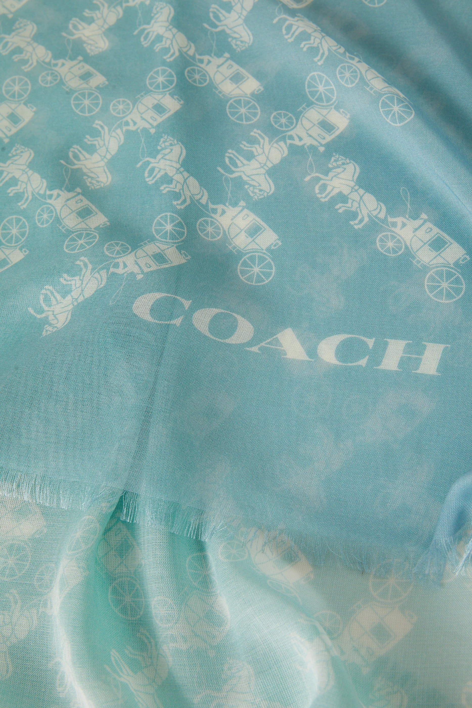 وشاح بنقشة العربة والحصان مزيج صوف