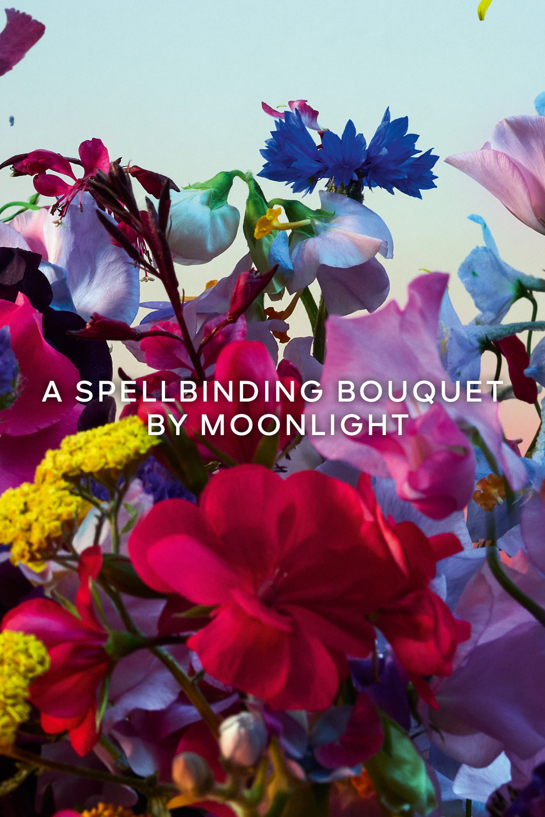 أو دو بارفان أبسولوس أليغوريا فلورابلوم أبسولو