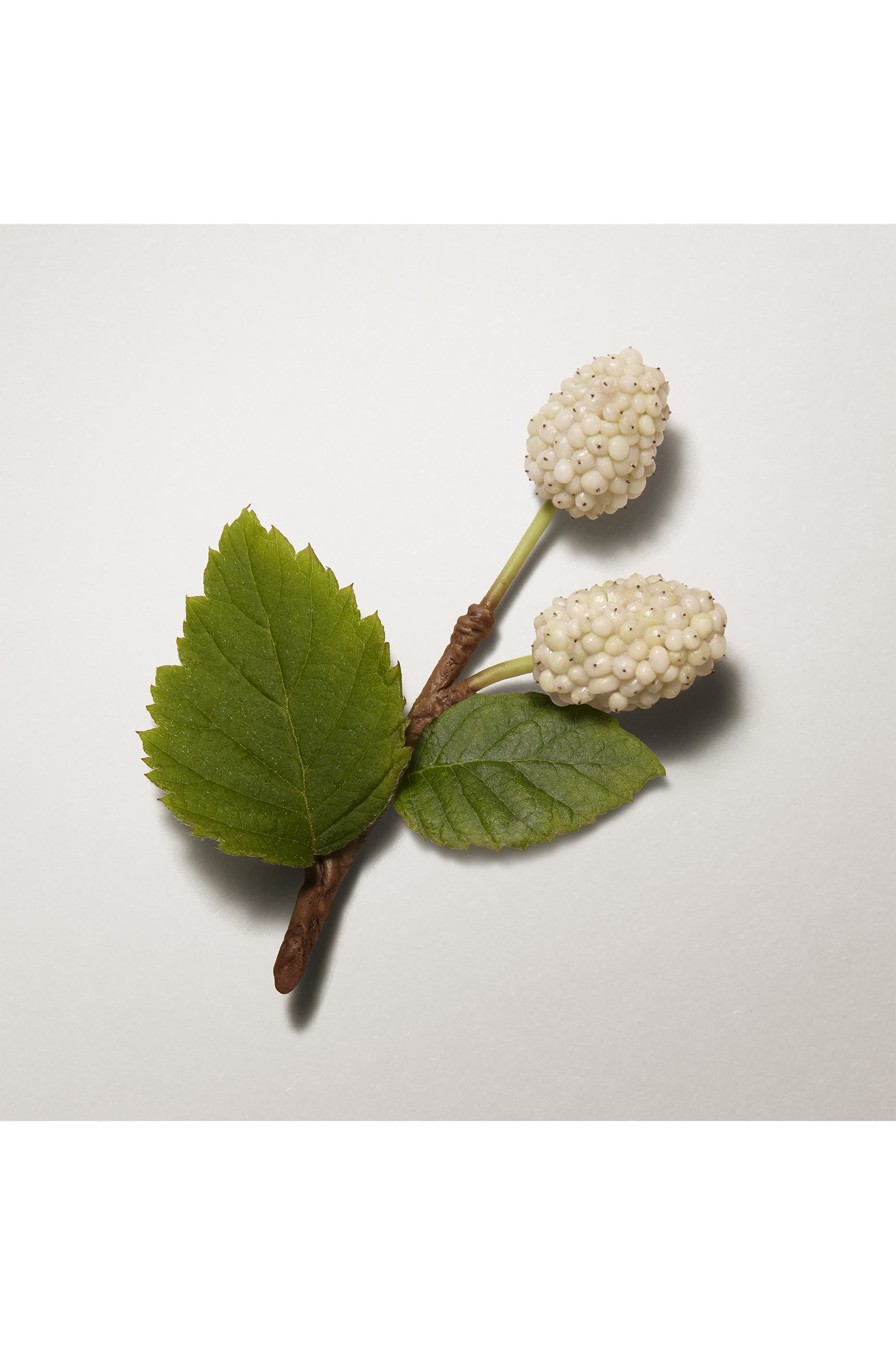 Les Mains Hermès, hand cream