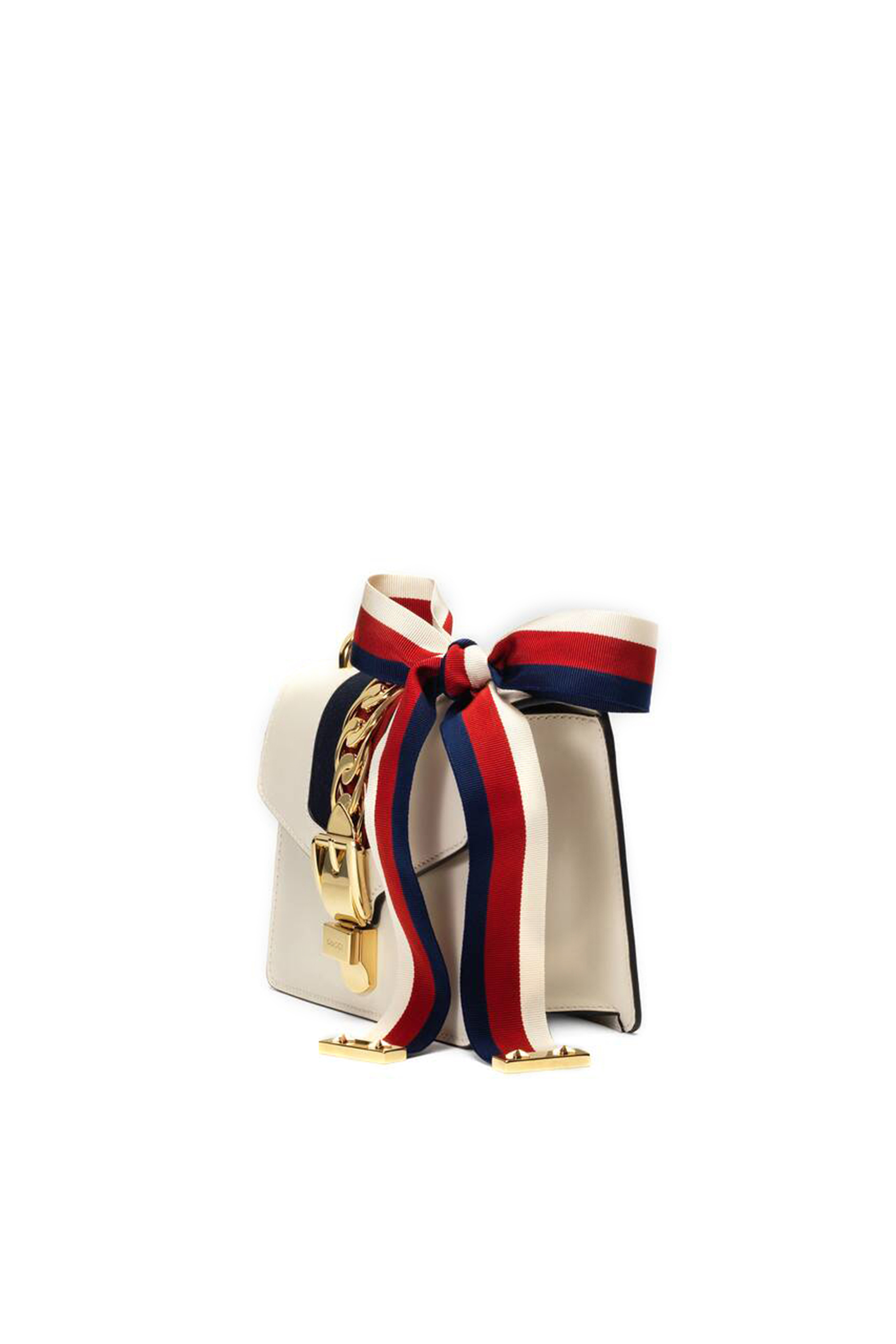 حقيبة سيلفي