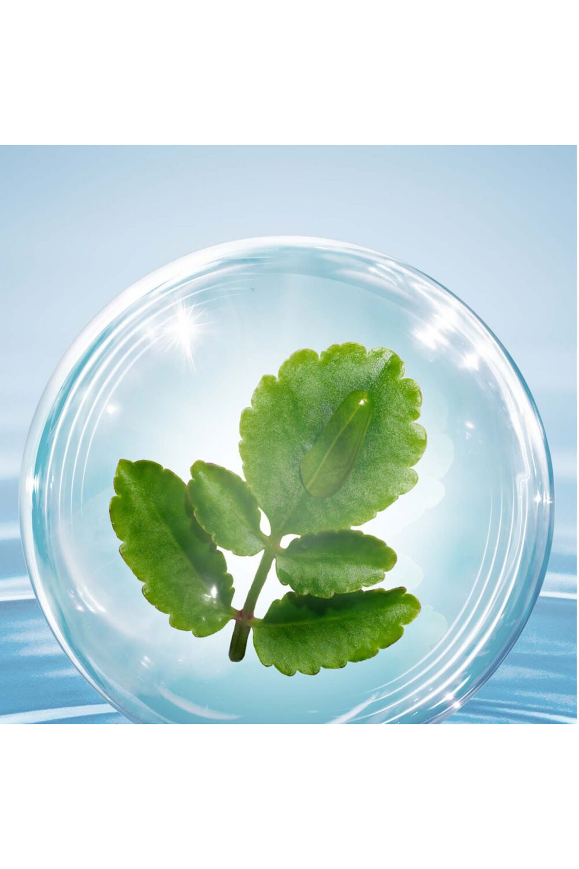 كريم العين توتال آي هيدريت