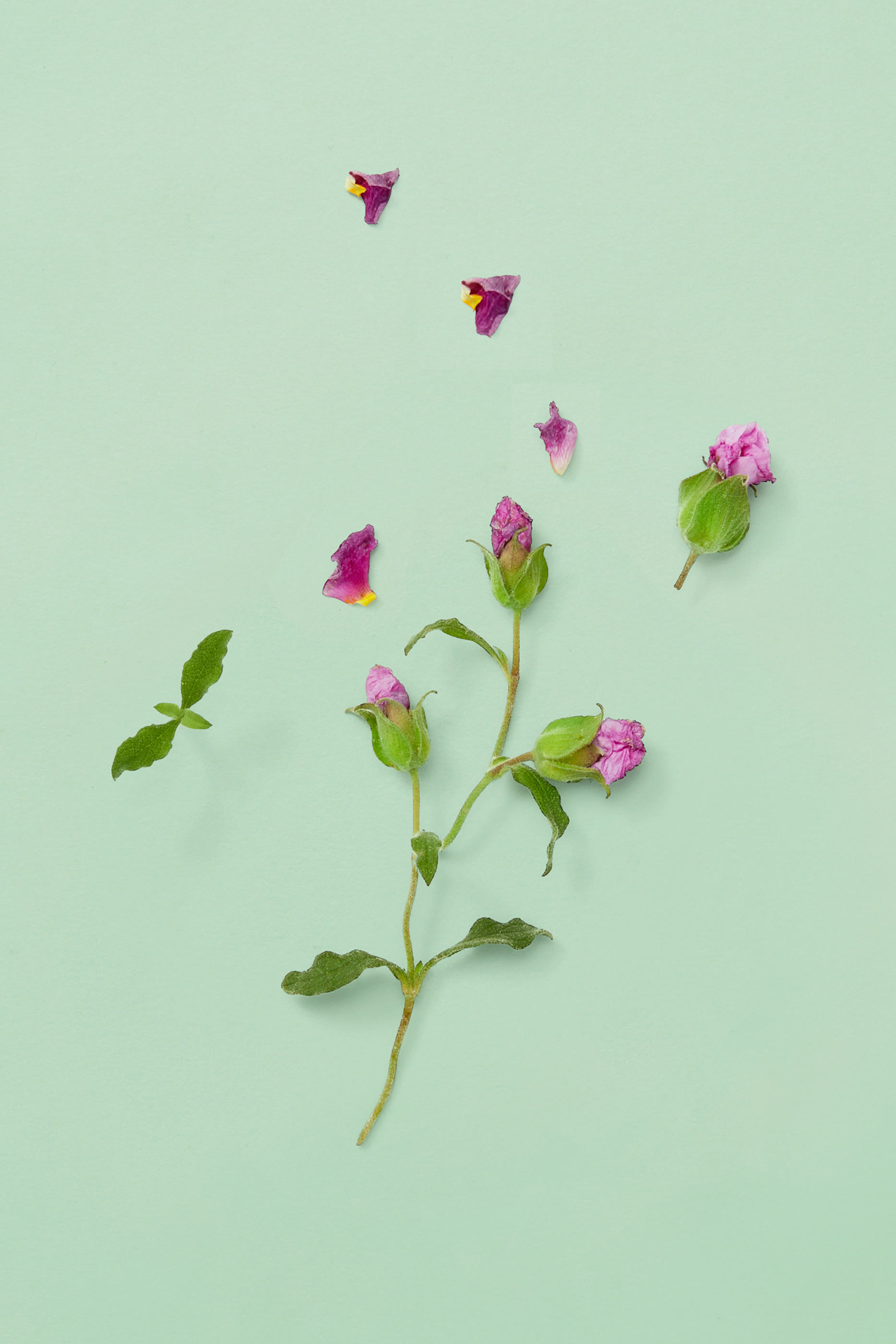 أو دو بارفان غوتشي جيلتي للرجال 