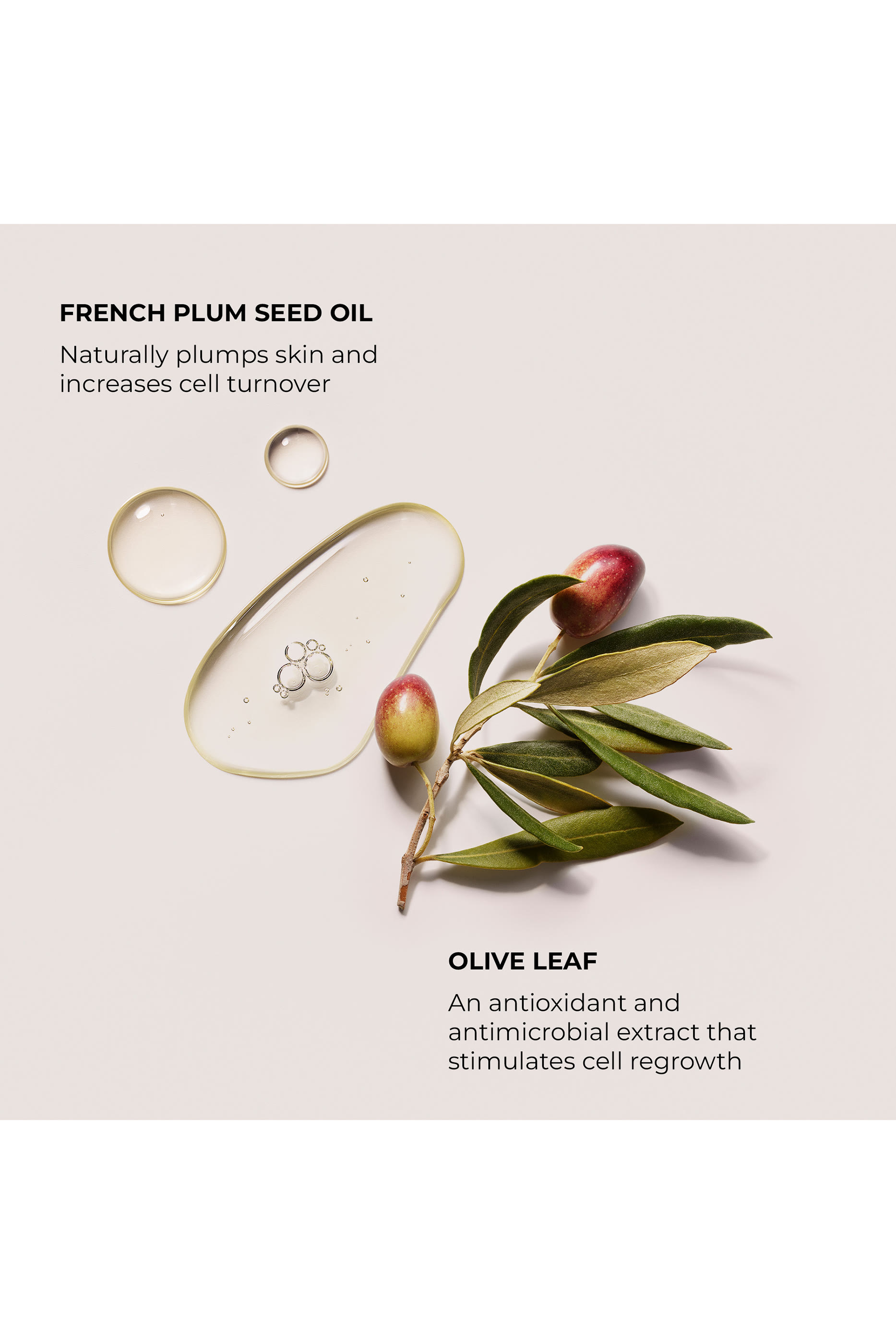 غسول أمبر فانيل مقشر للجسم