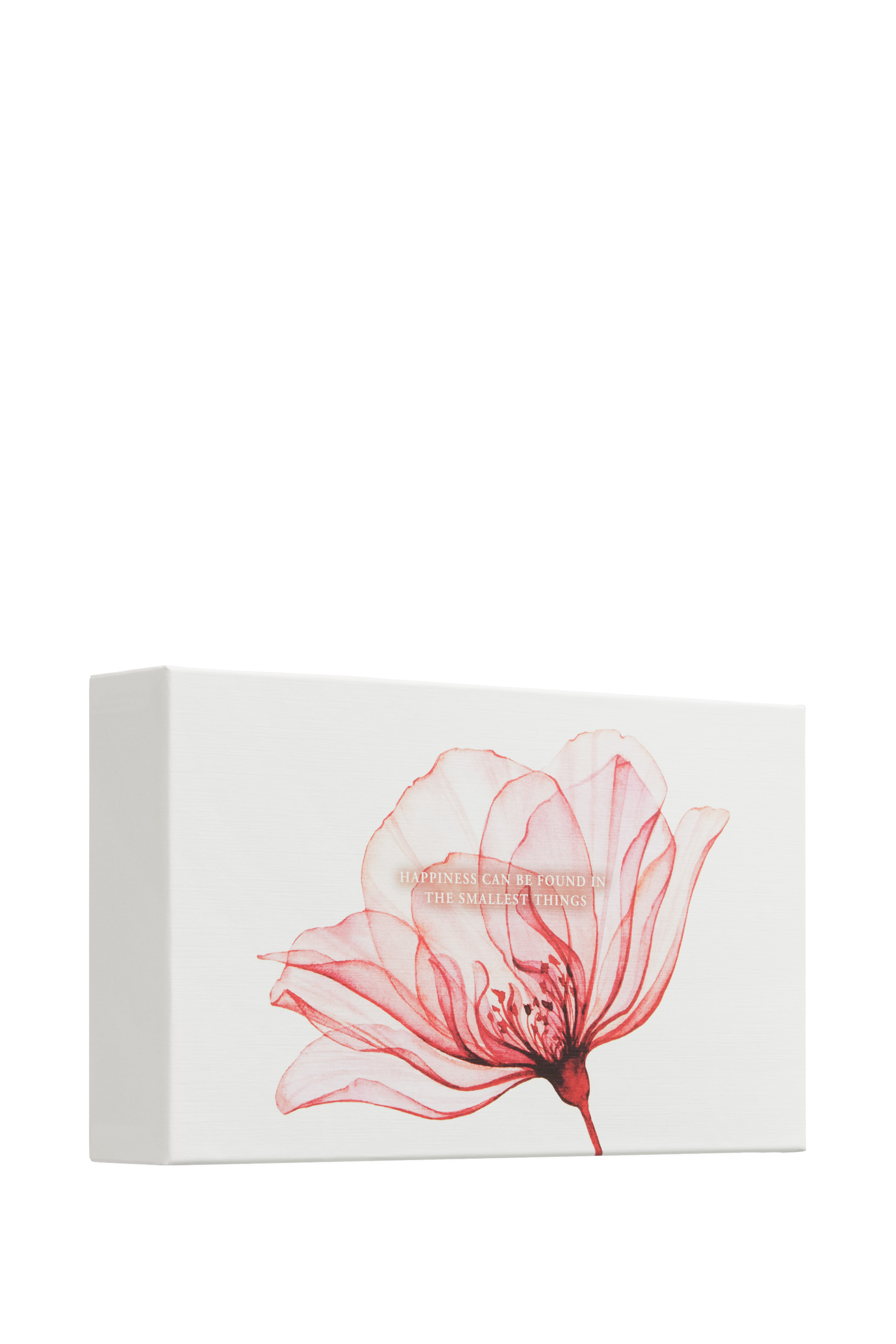 مجموعة هدايا  ذا ريتوال اوف ايورفيدا بحجم صغير