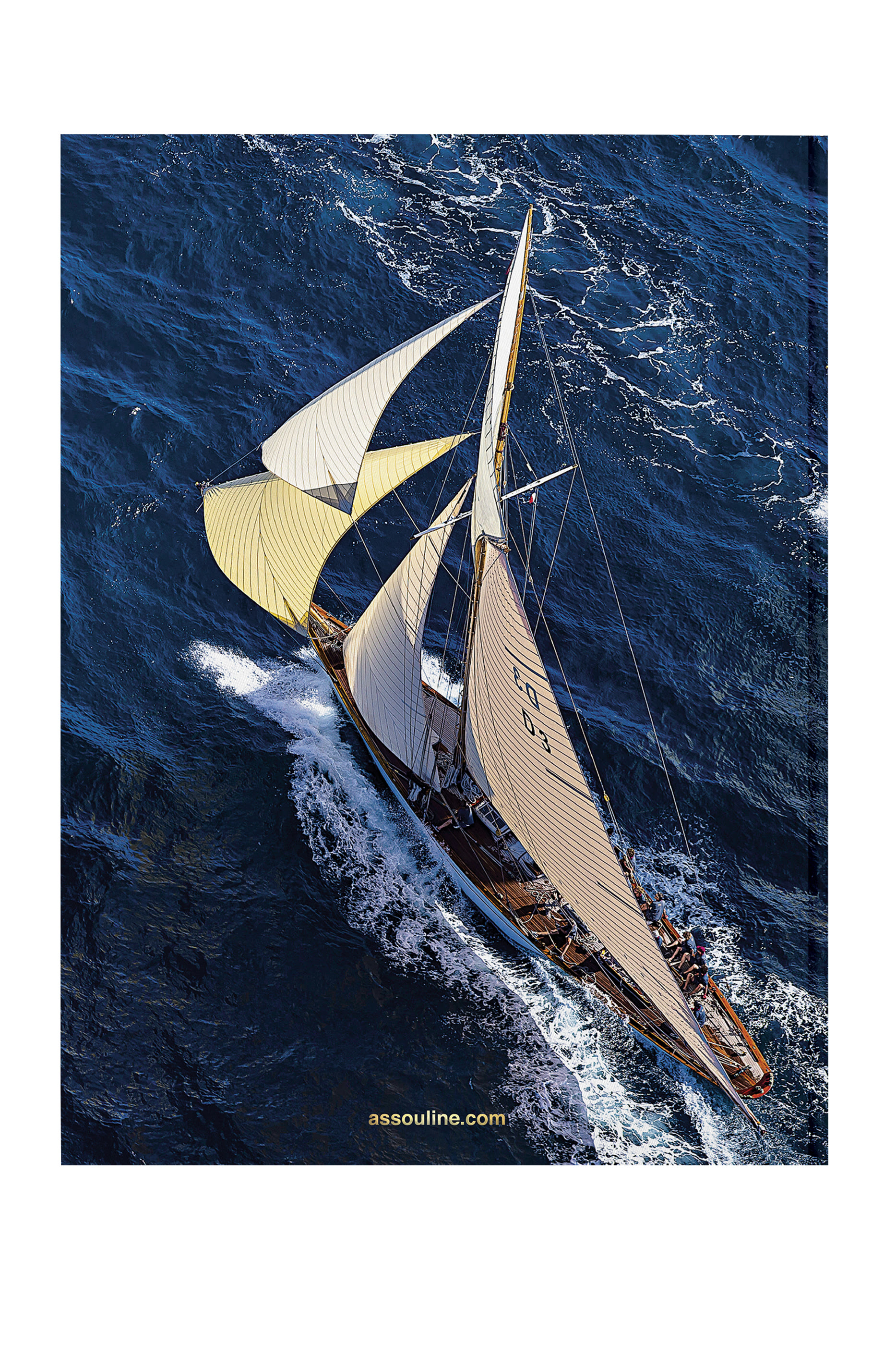 كتاب يات كلوب دو موناكو