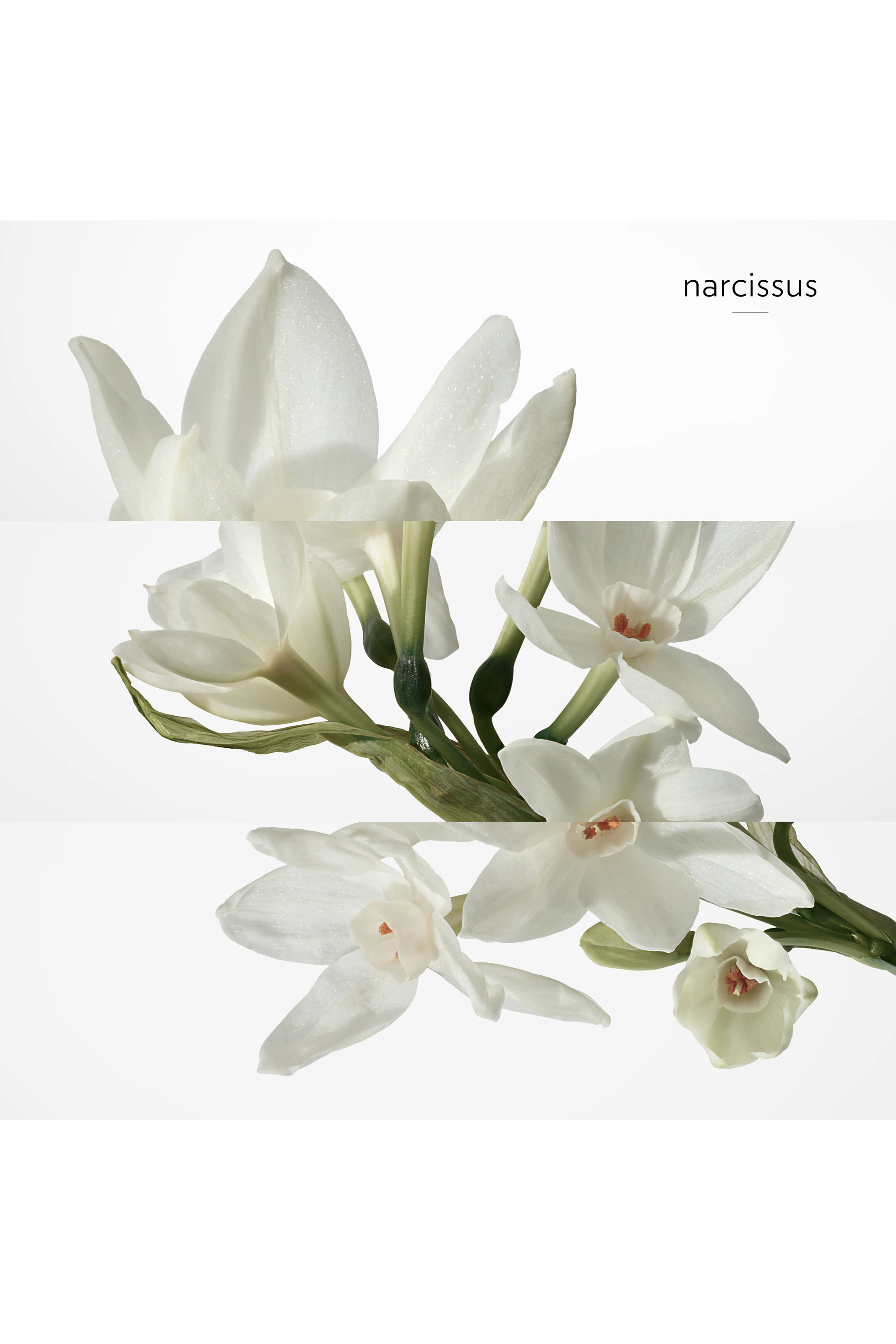 H24, قارورة بديلة من عطر Eau de toilette