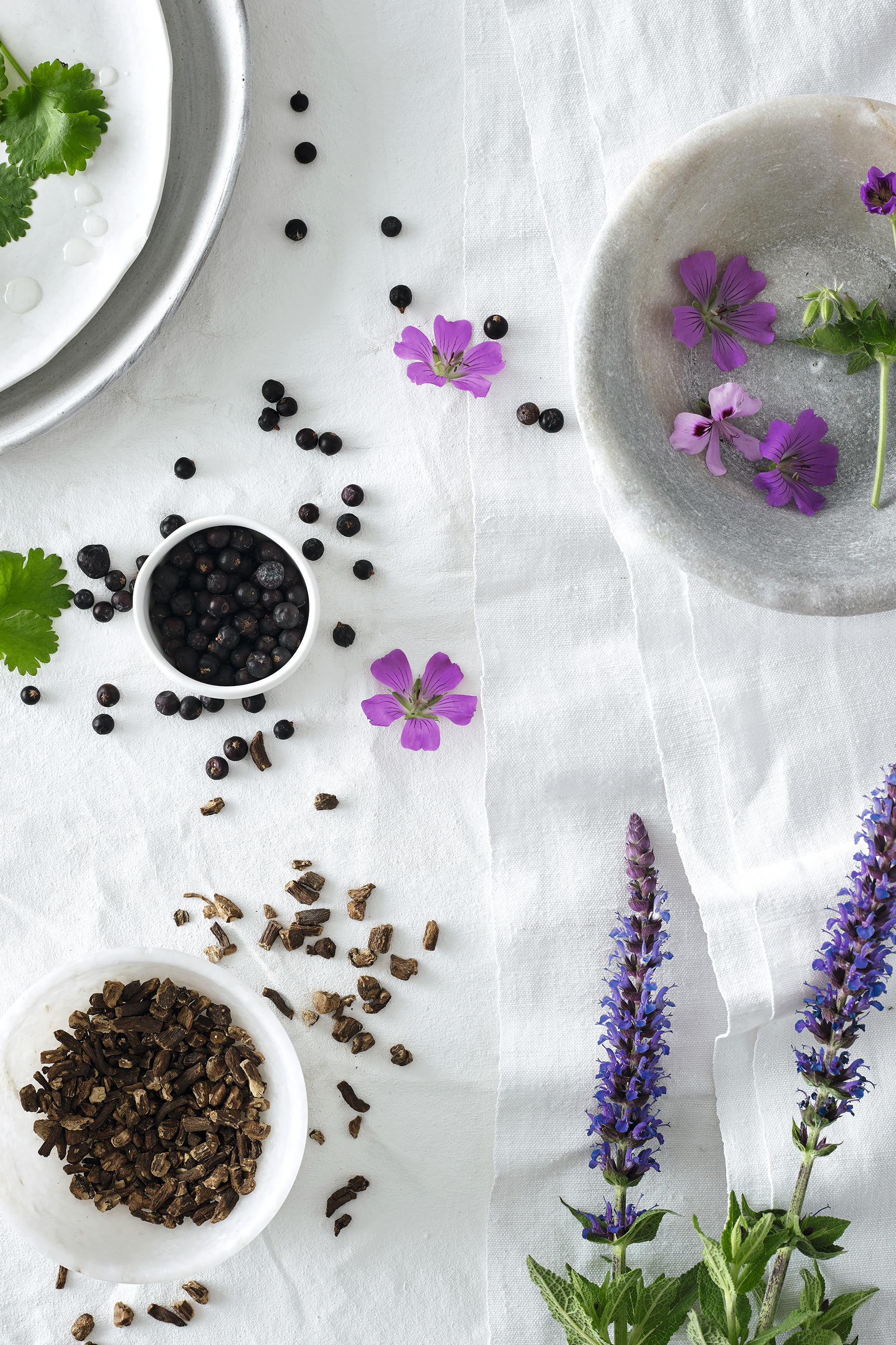 سلة كالم ويلنس