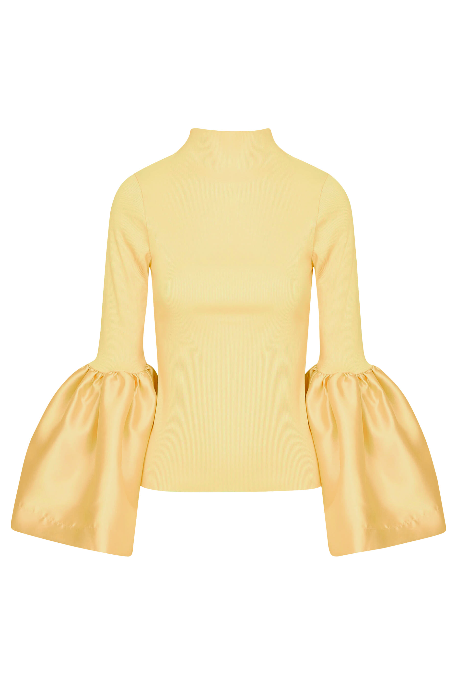 بلوزة بأكمام منفوخة وياقة عالية