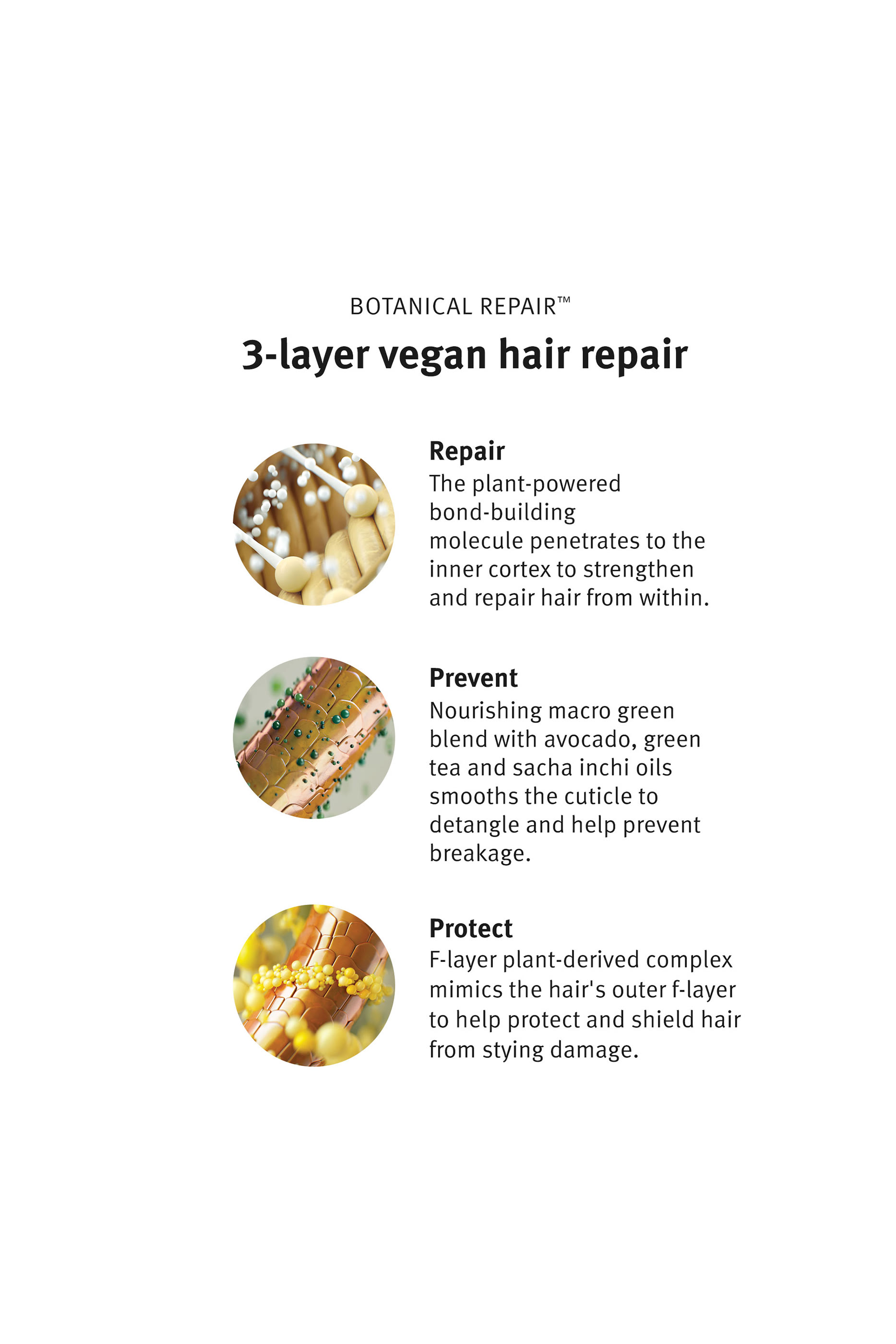 مجموعة هدايا أساسية بوتانيكال ريبير لتقوية وتصفيف الشعر